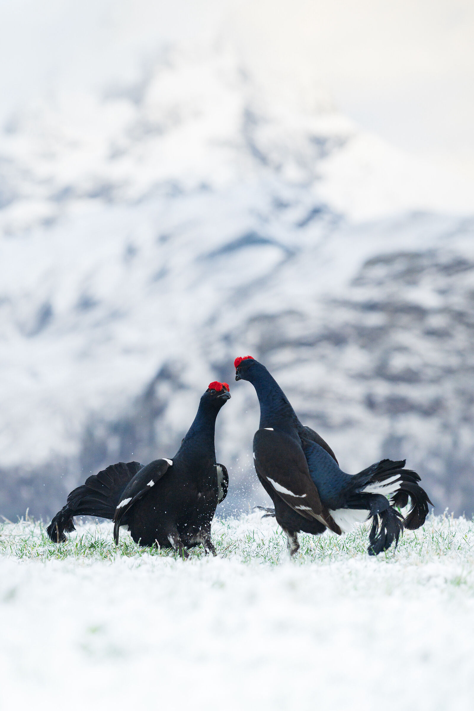 Who are you looking at?