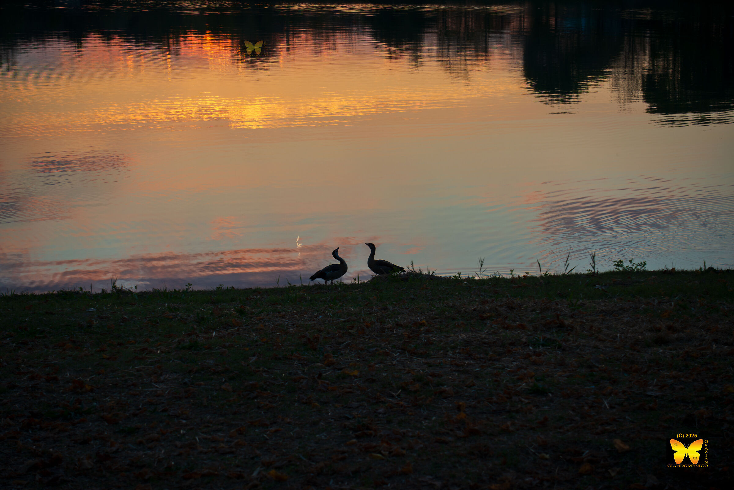 d800 + plasticotto di 20 euro parte 3