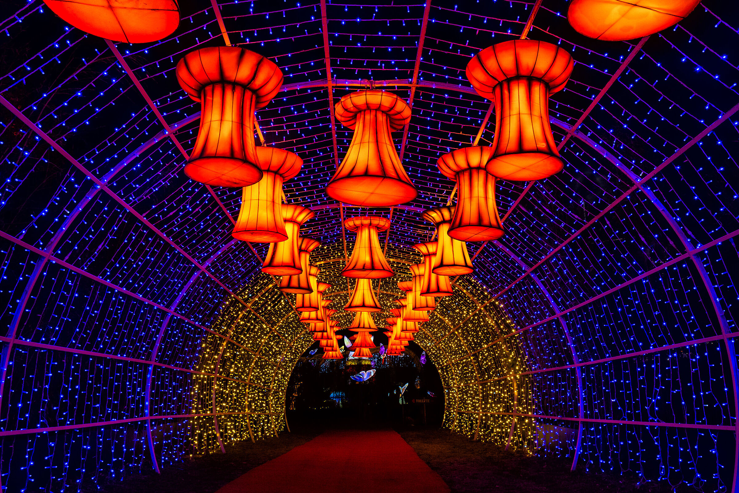 The Avenue of Hanging Hats