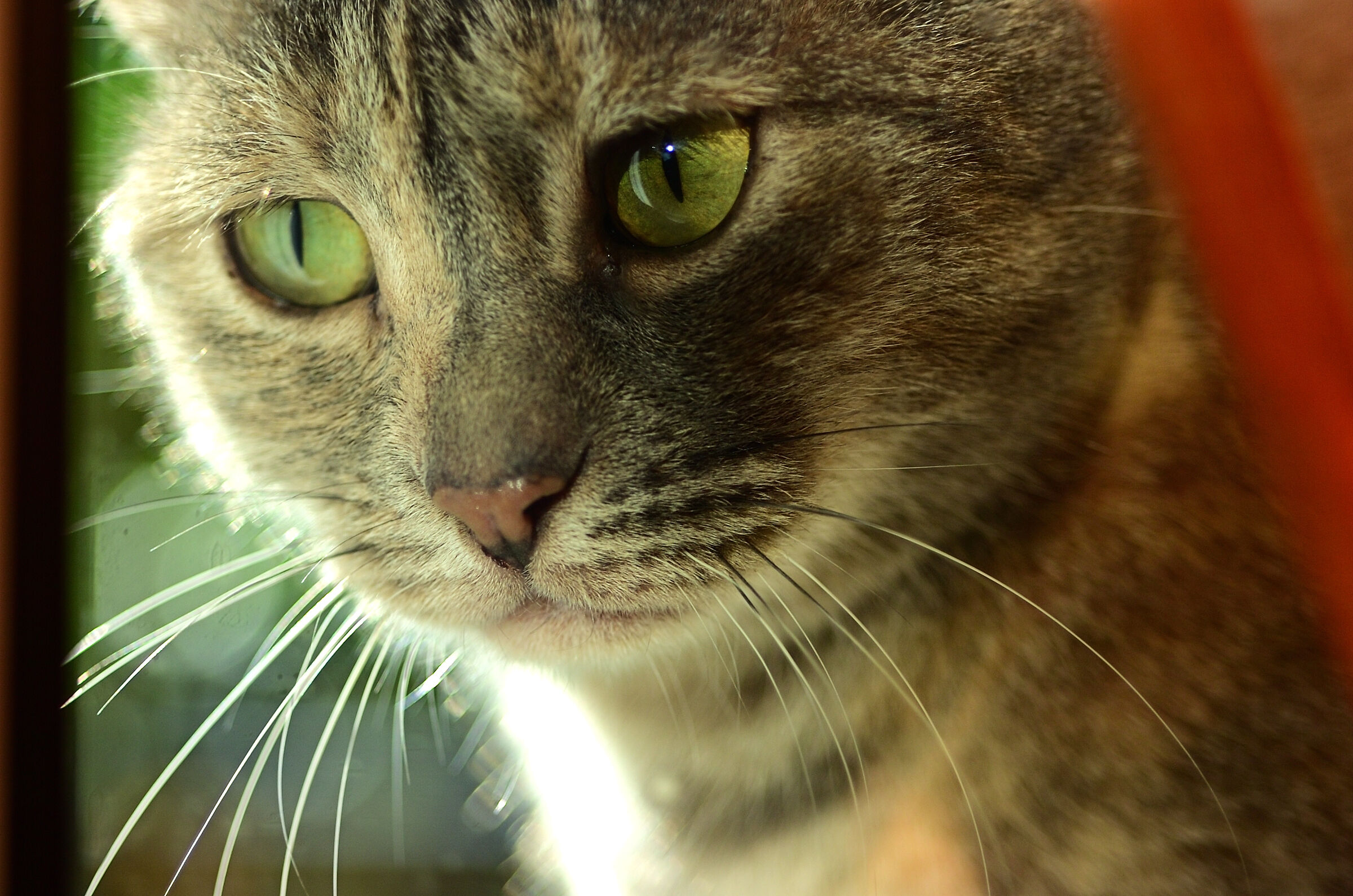 It's raining outside