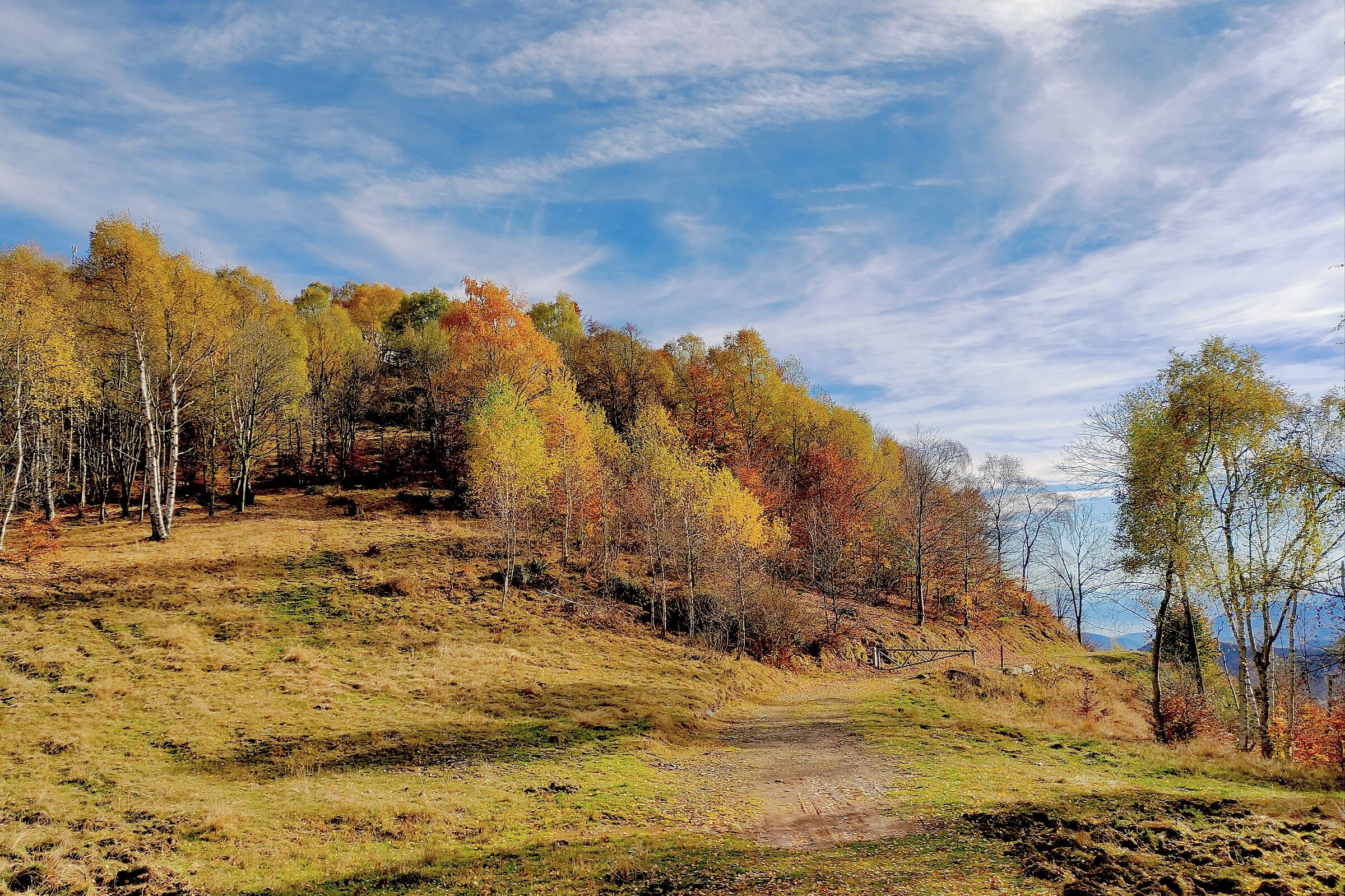 Autumn at the Col del Lys