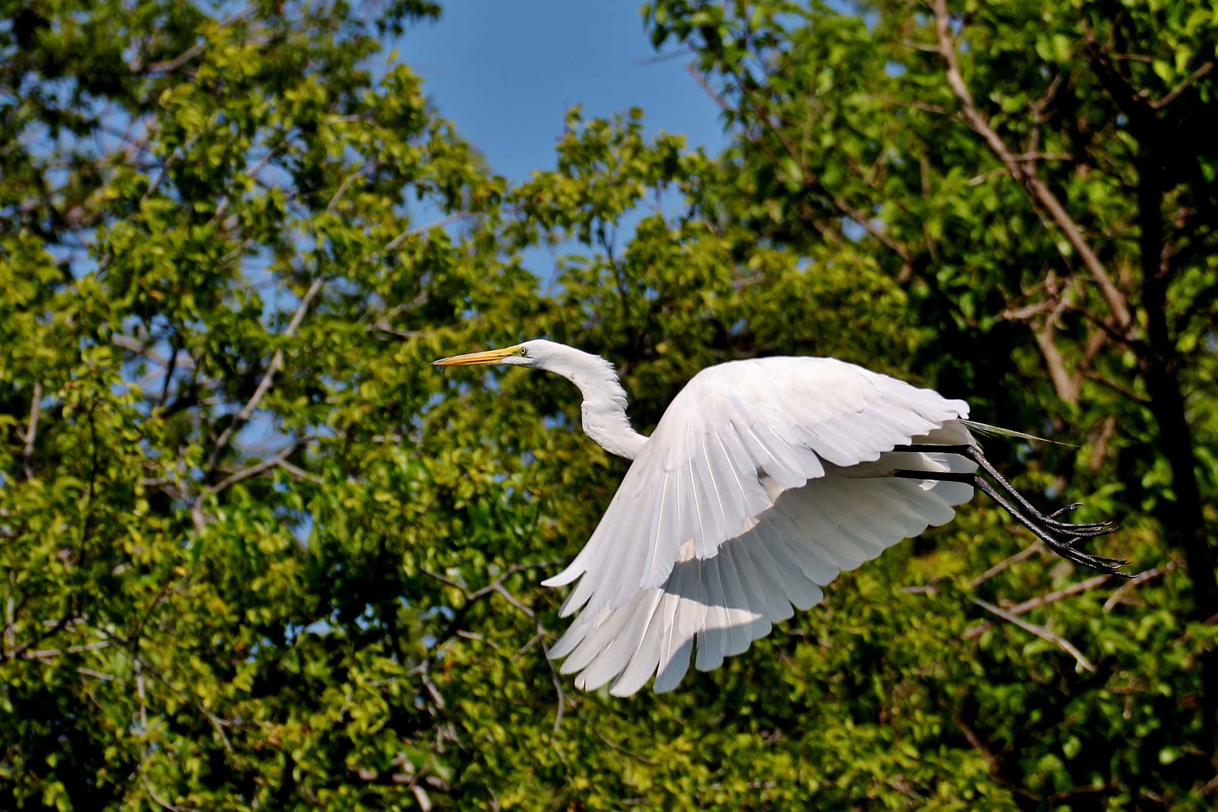 Pannello esterno di balletto
