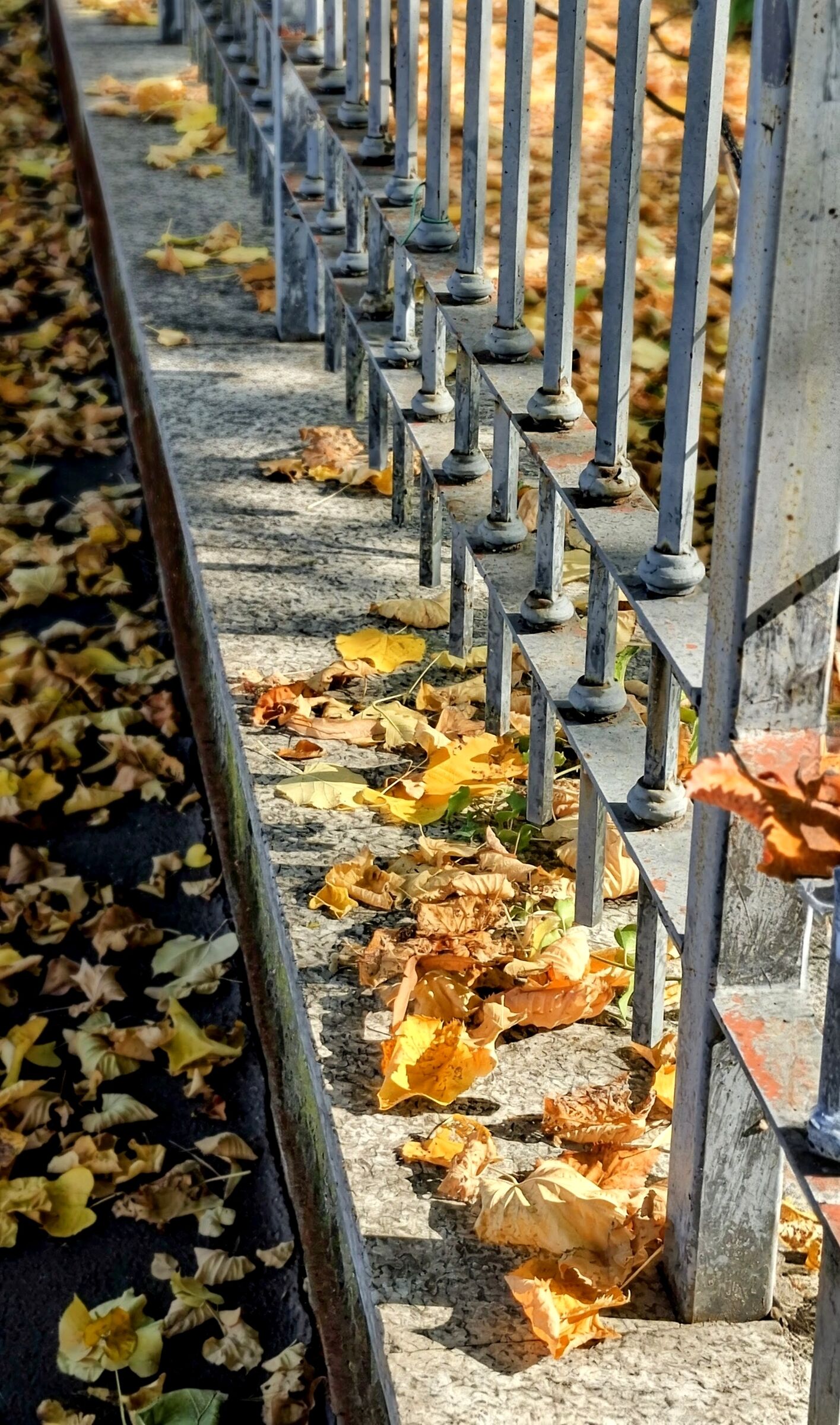 Prigionieri d'autunno