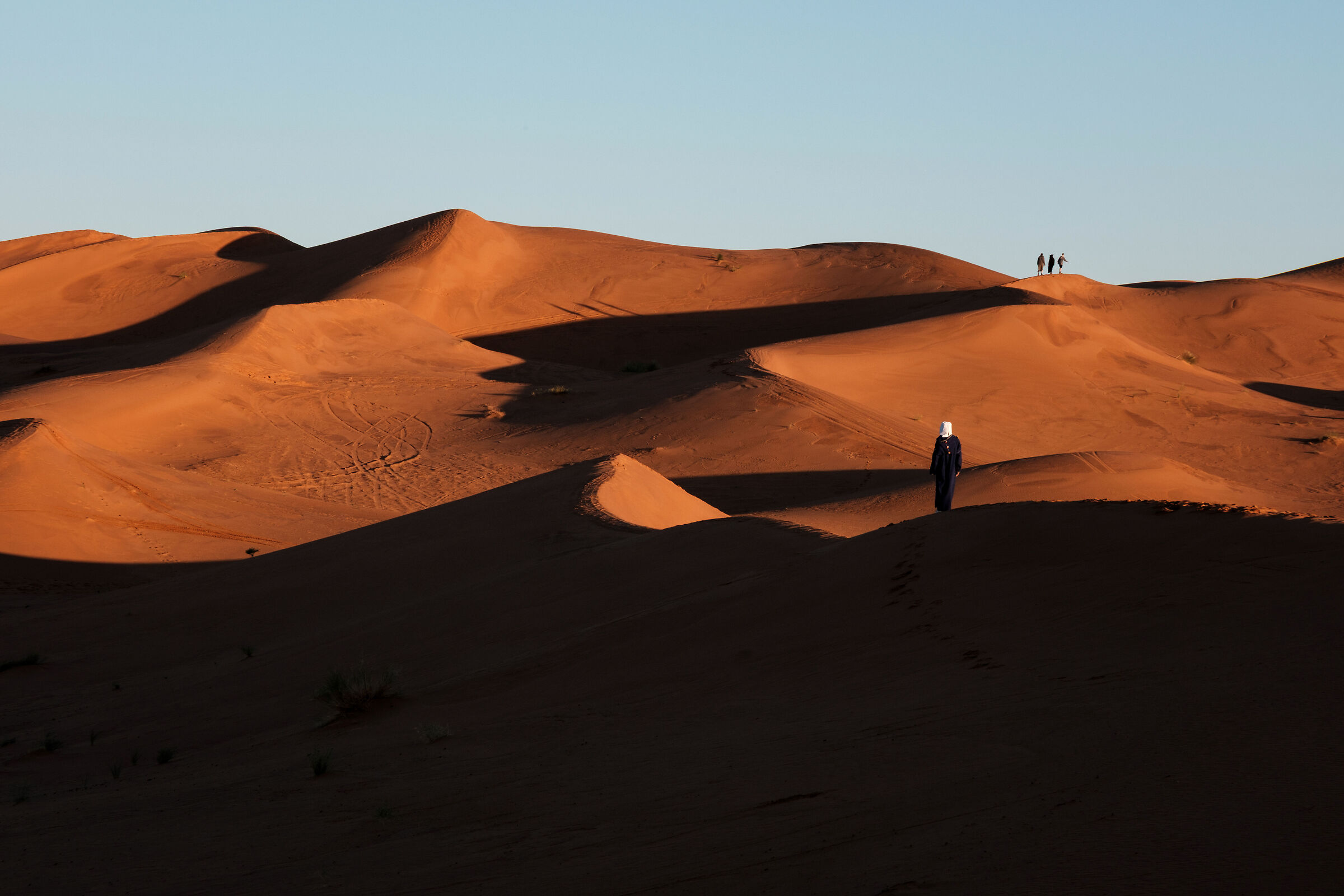 Desert Walk