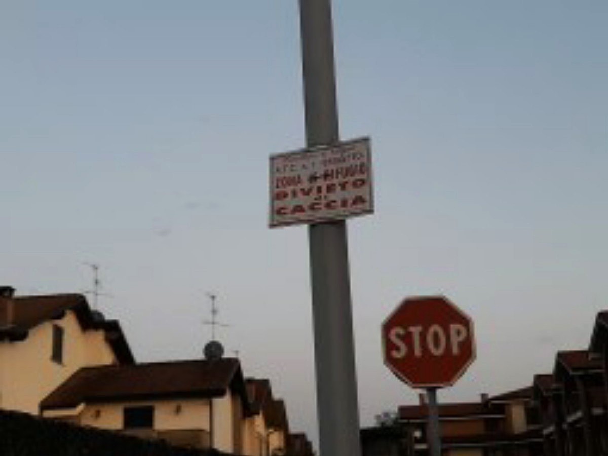 Cartello assurdo