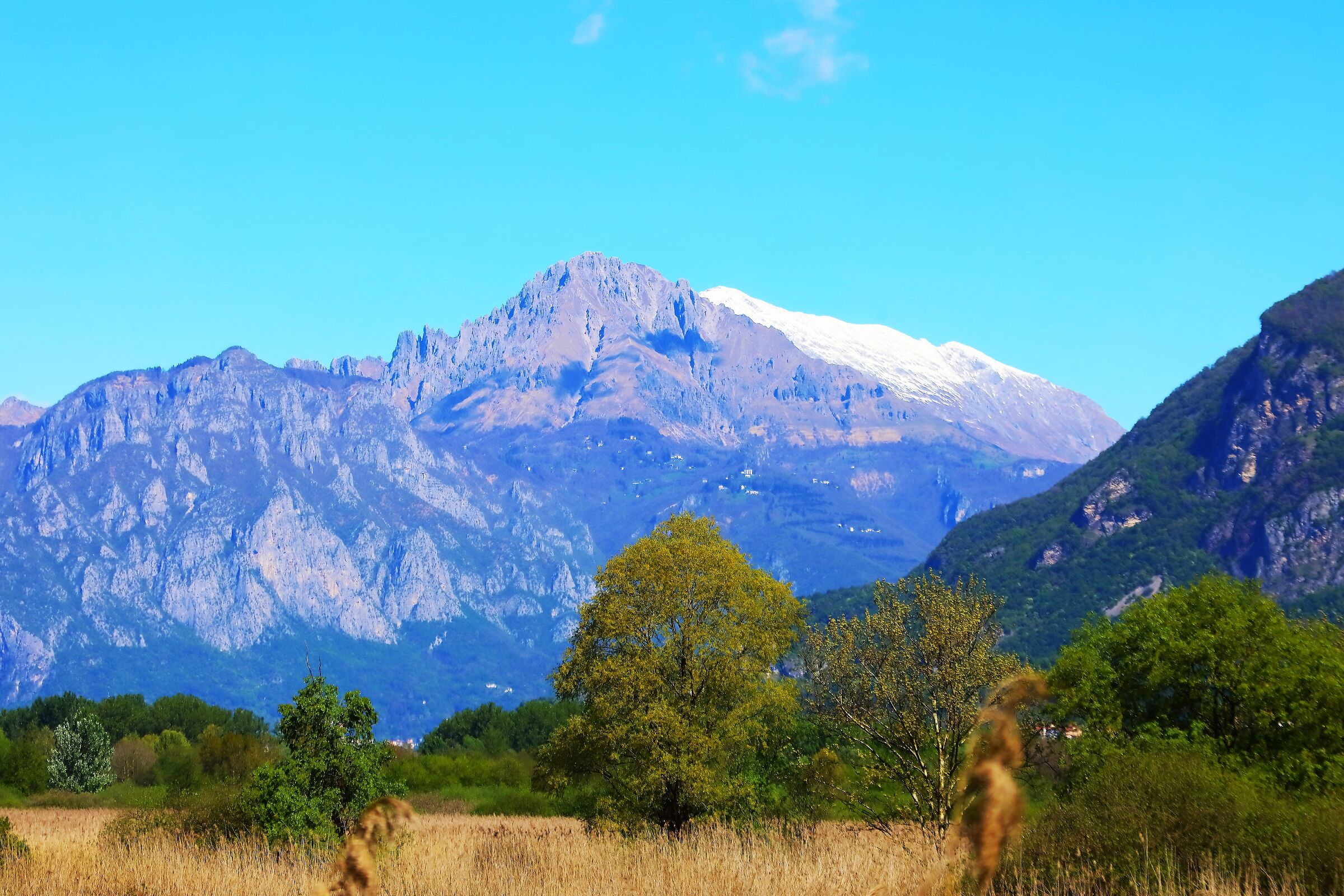 Le Grigne 25 aprile 2025 - 0015