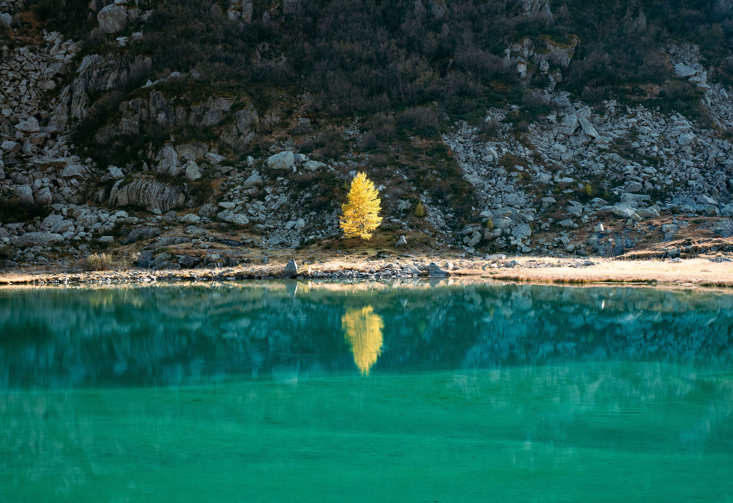 Untitled Photo