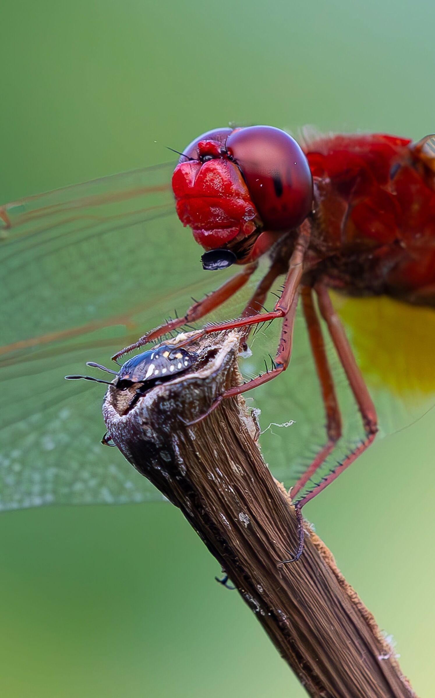 Non Preoccuparti.. Andrà Tutto bene.. !