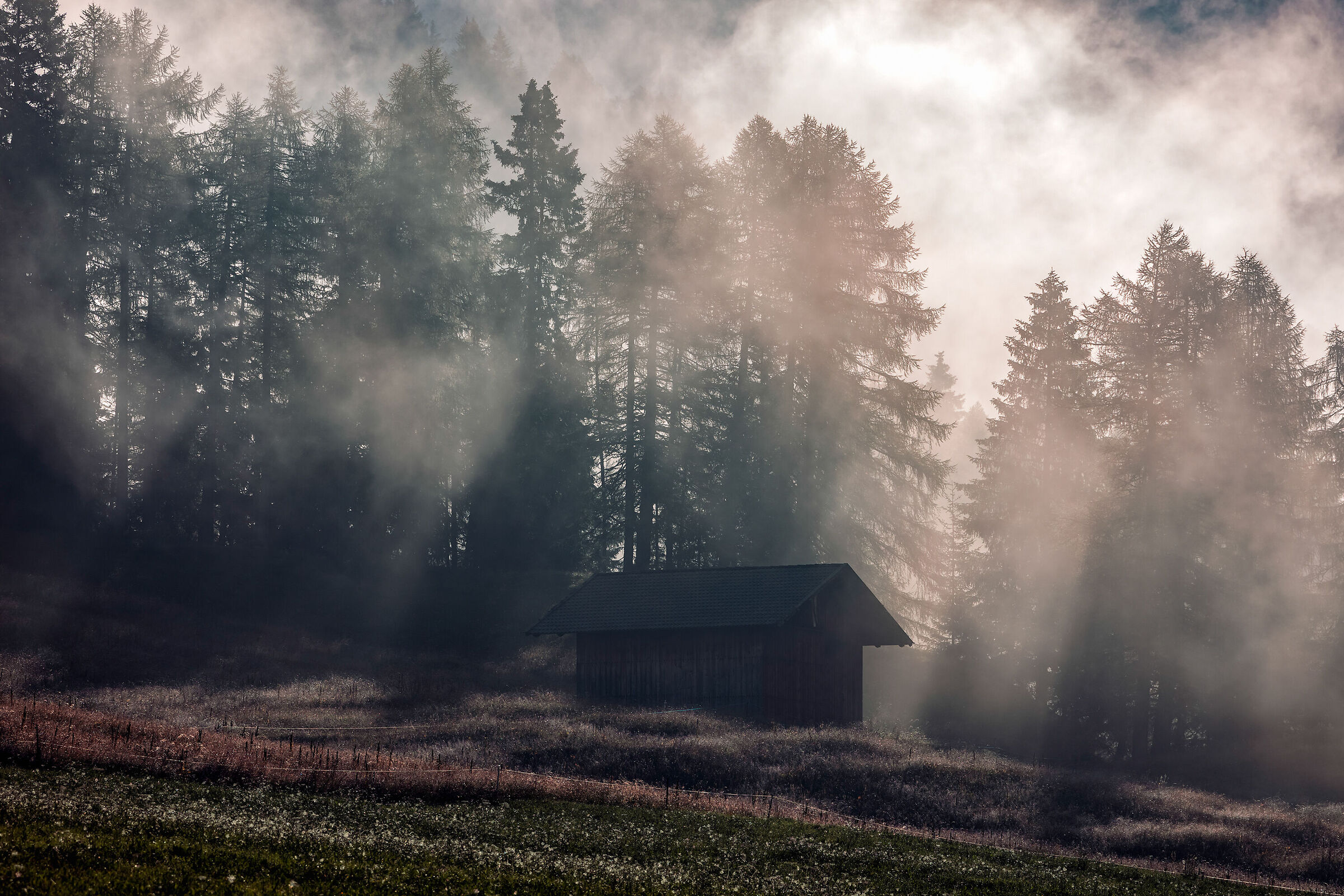 Fog at the Karer Pass