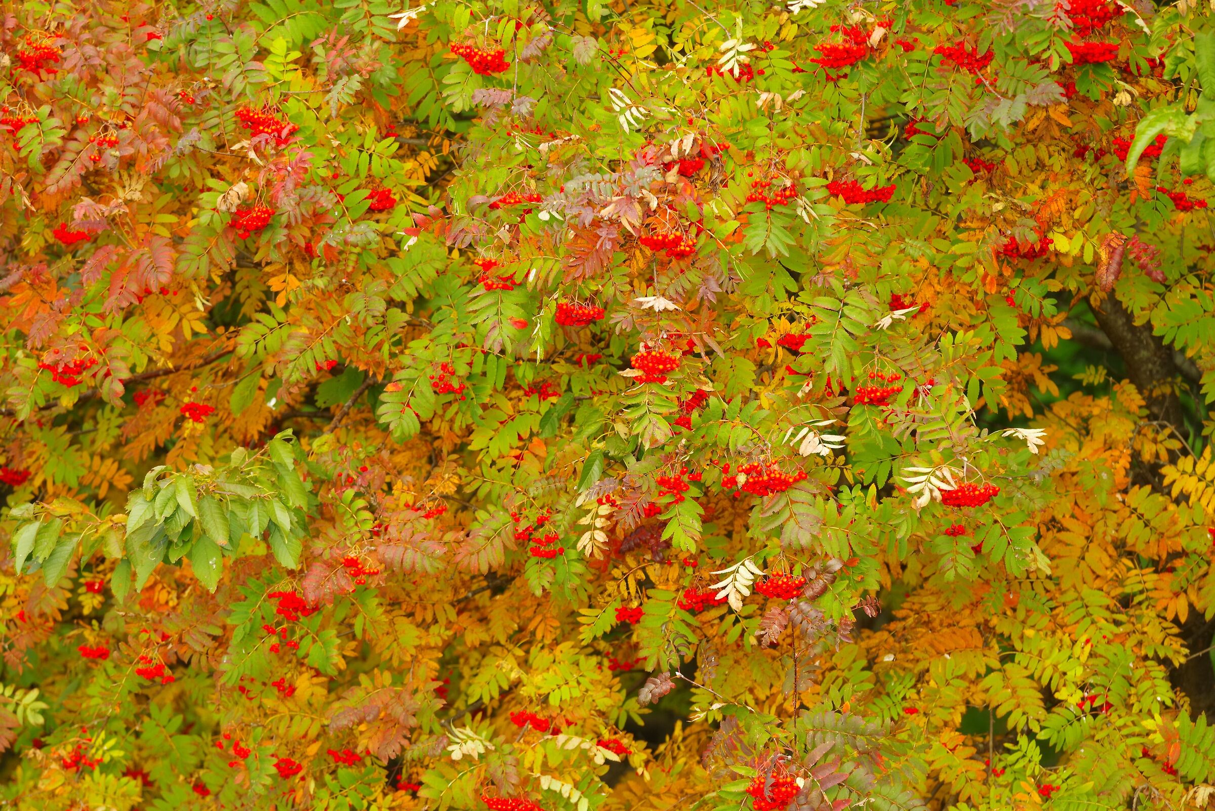 Autumn 2025, first signs