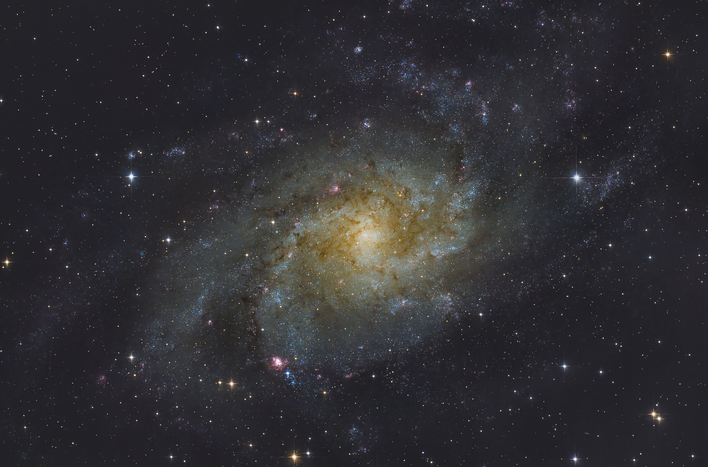 M33