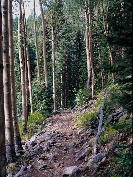 Foto