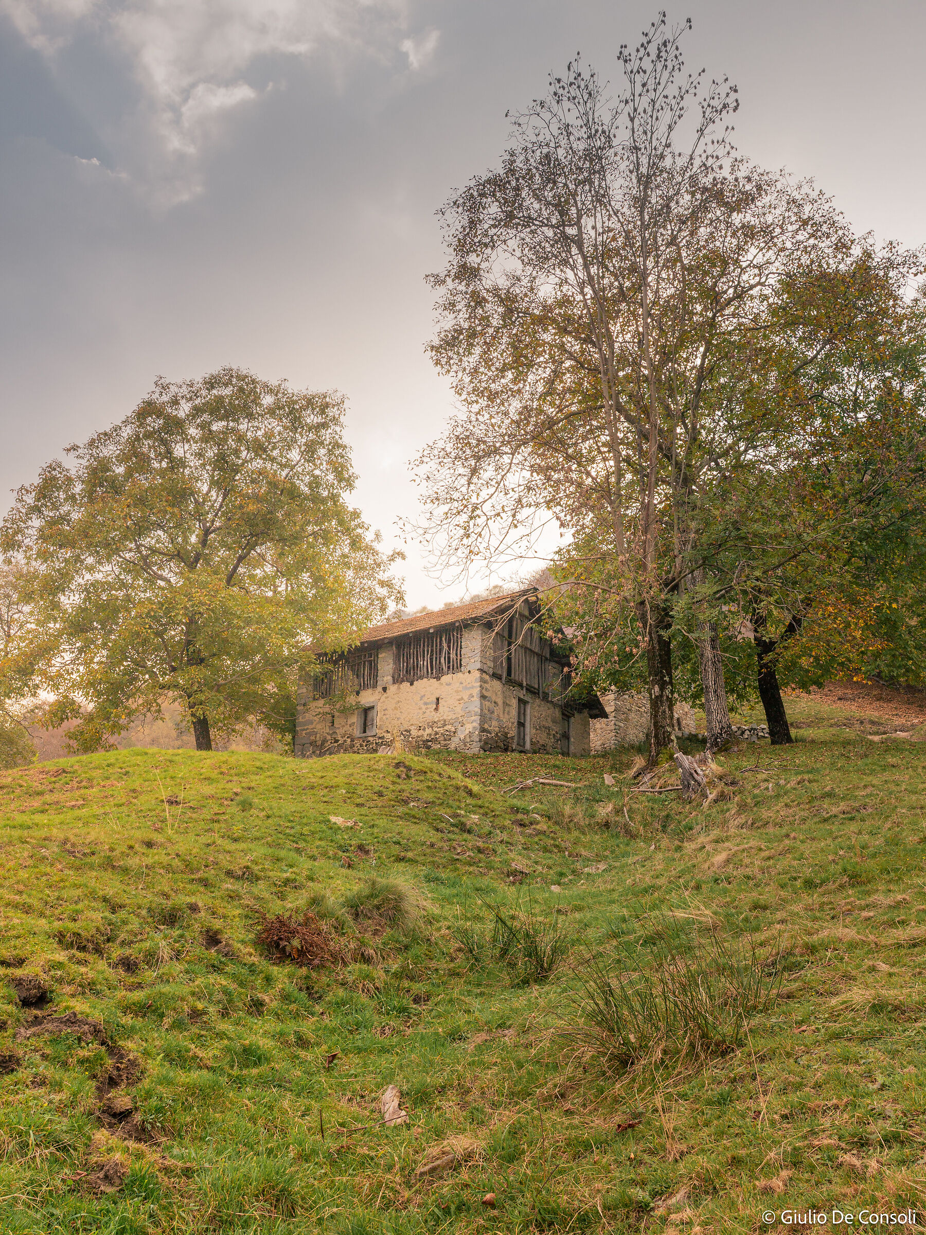 C'era una volta l'autunno...