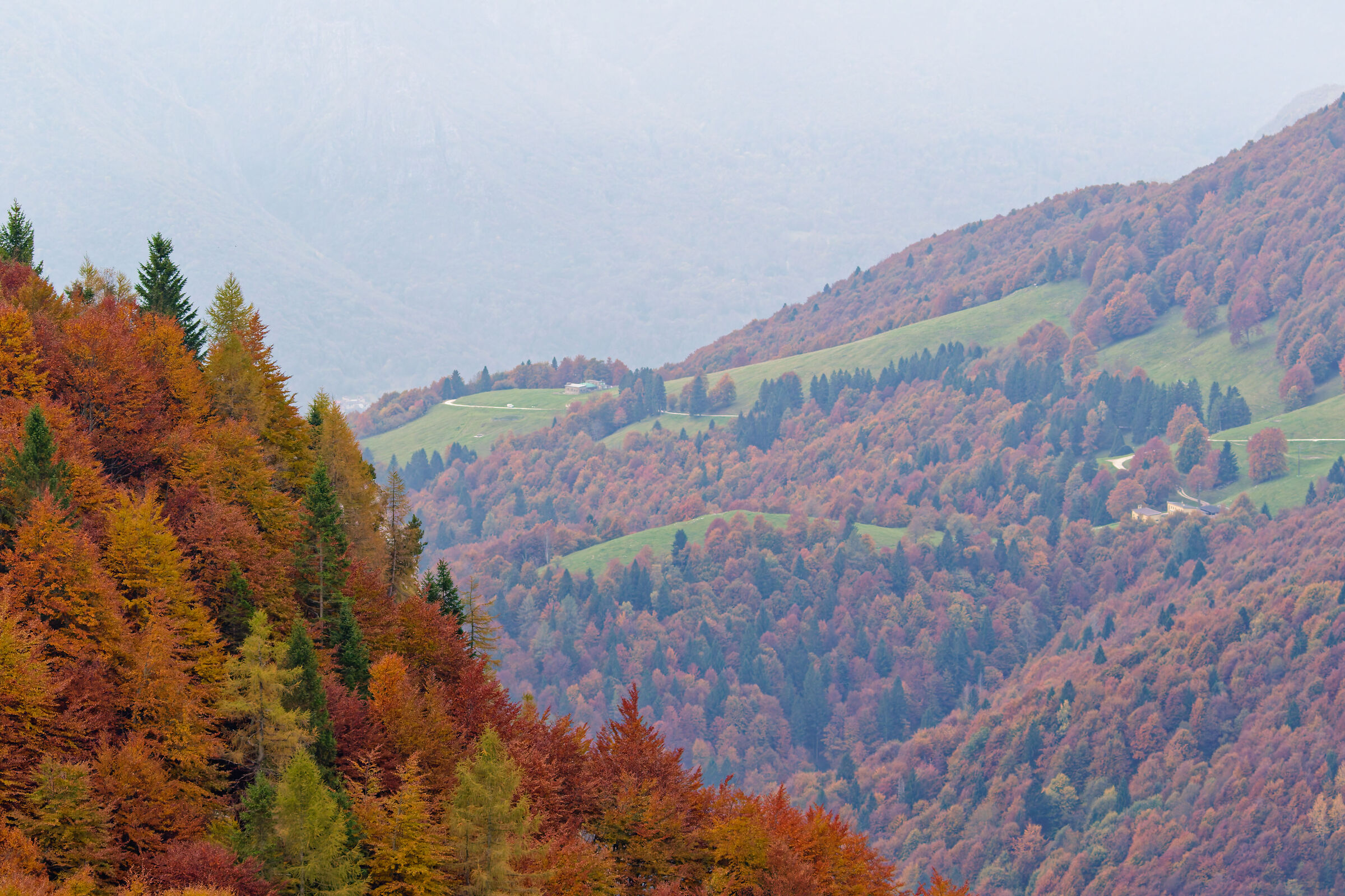 Autumn in Tonezza