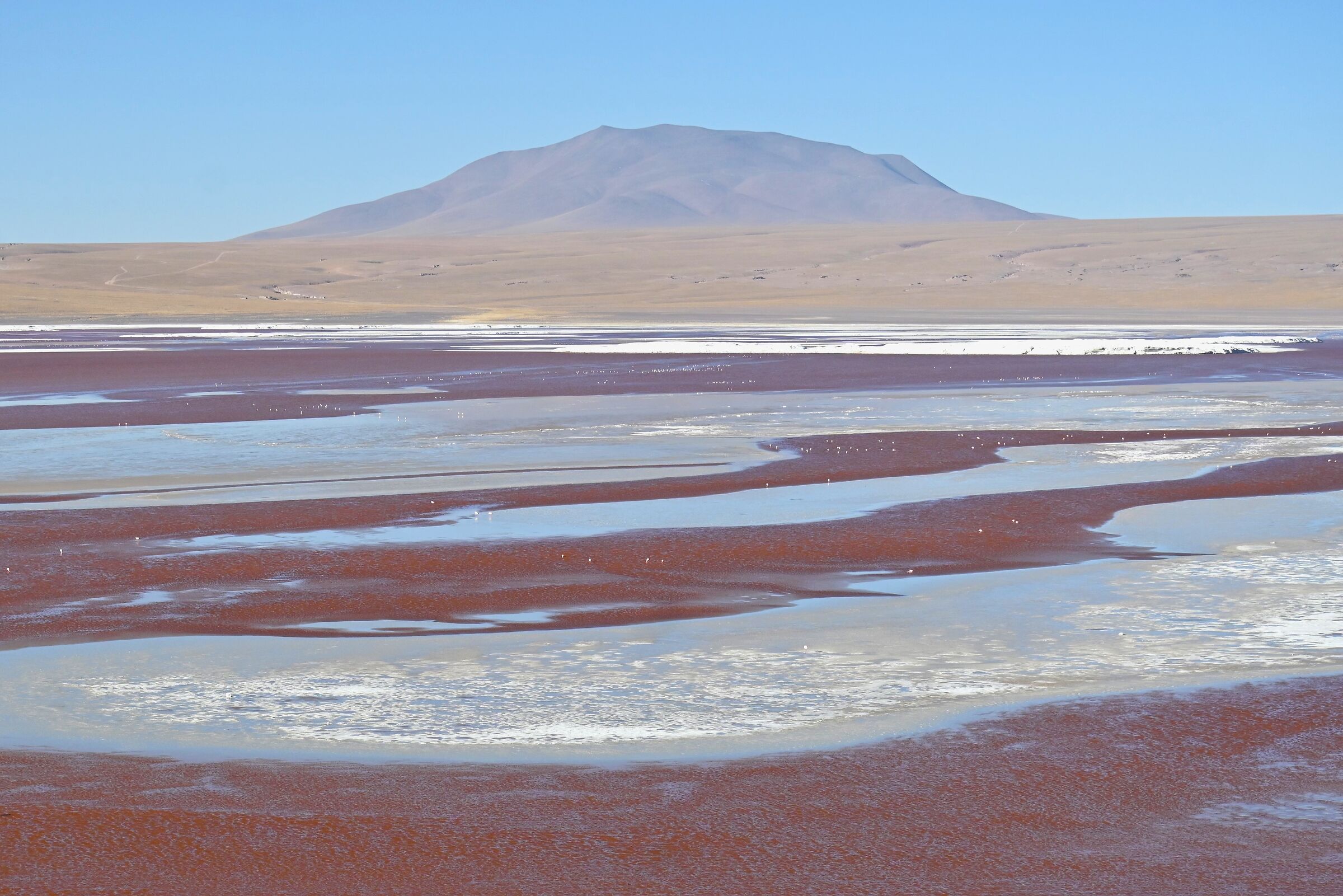 Laguna colorada... and what colors
