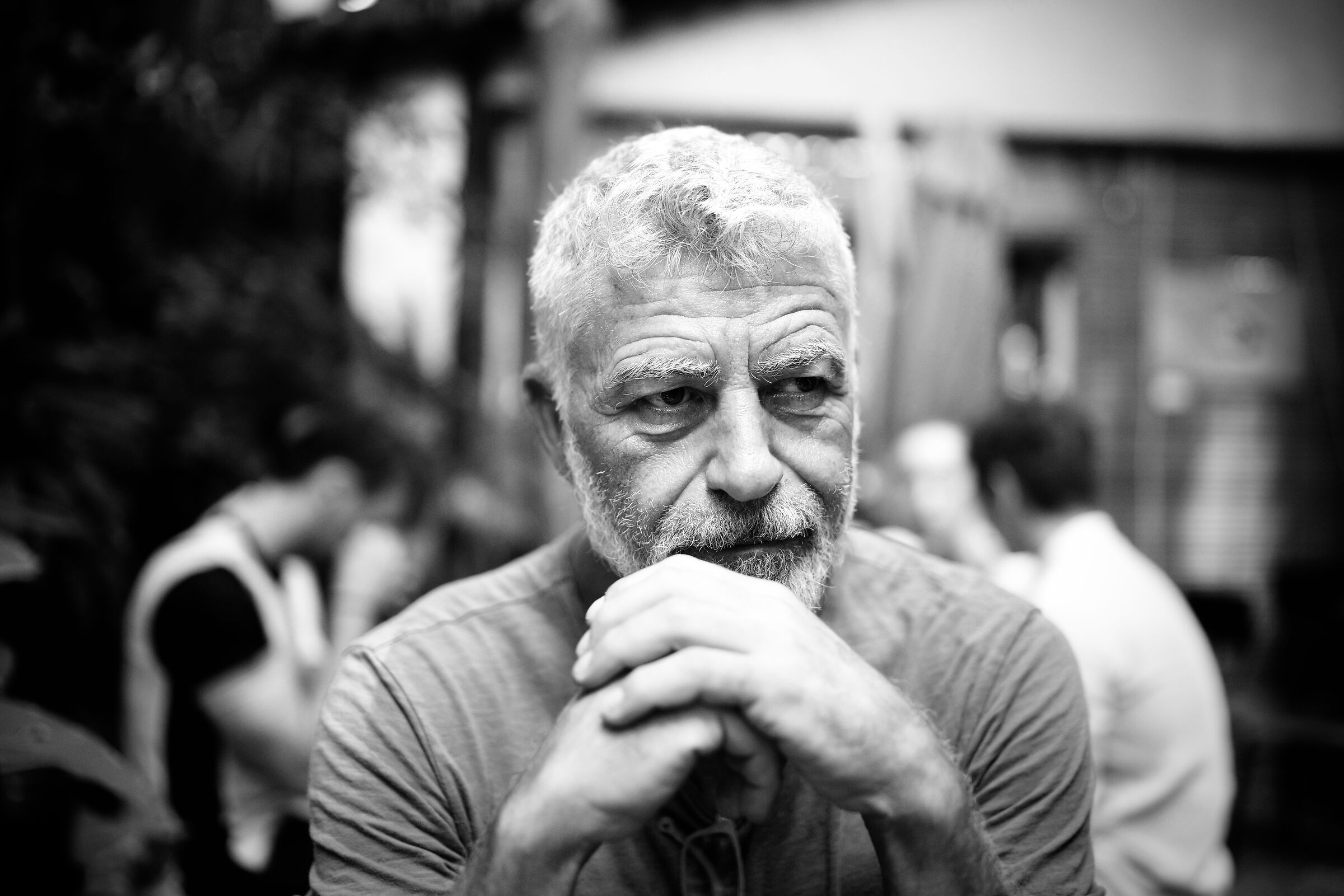 Alberico