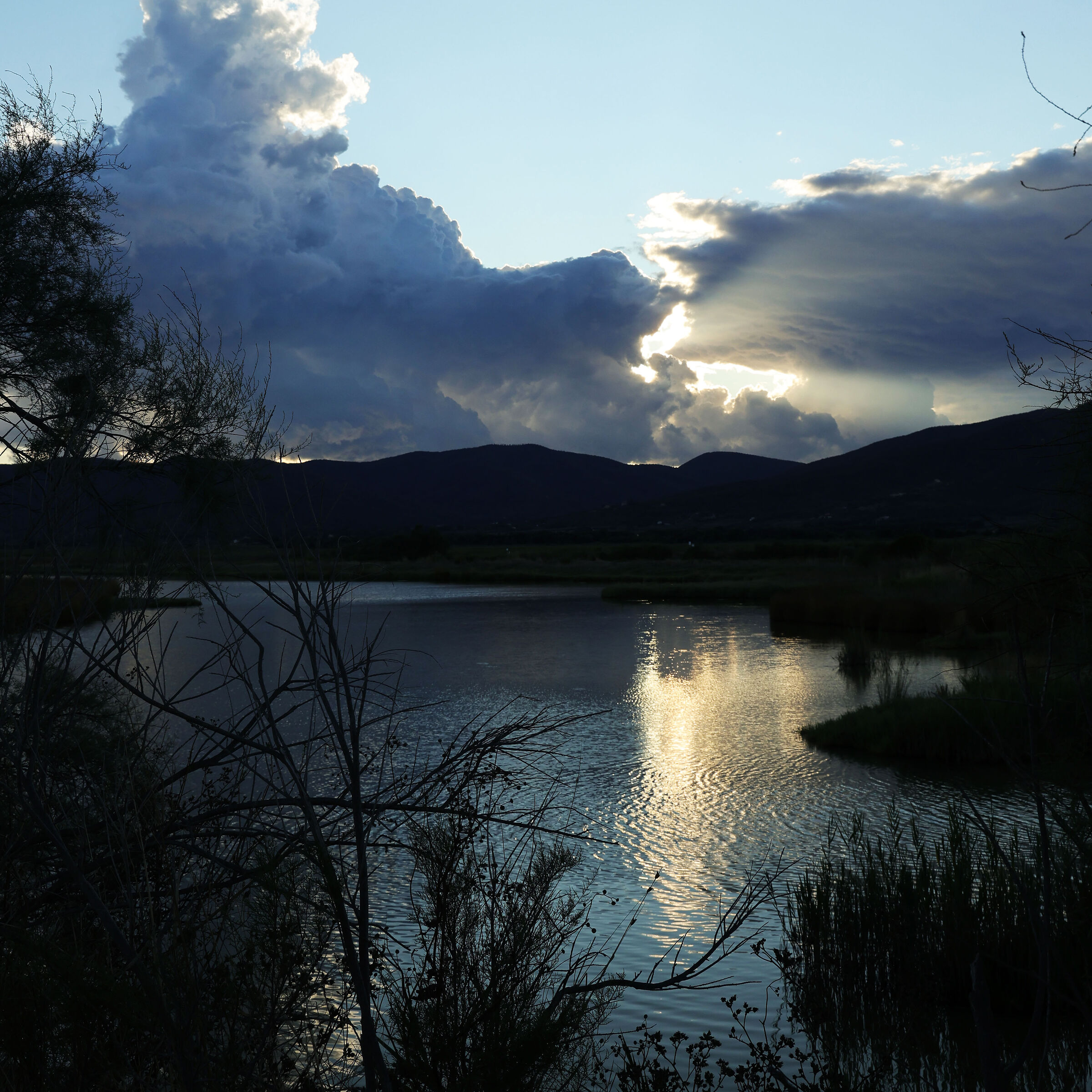 Skies and reflections in the swamp