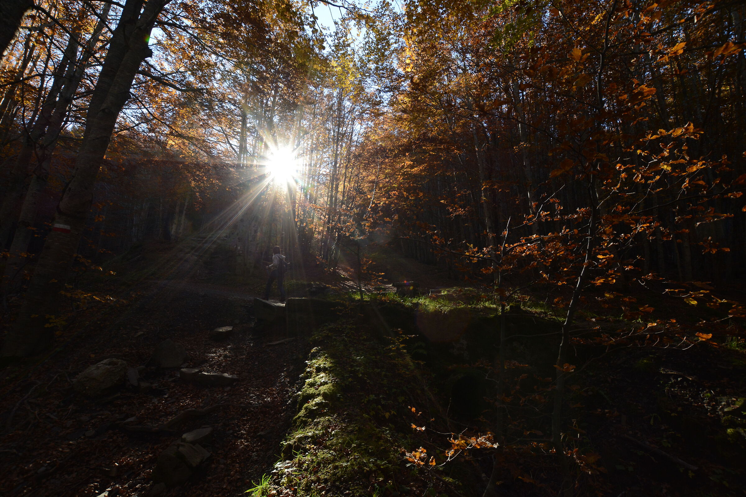 Autunno