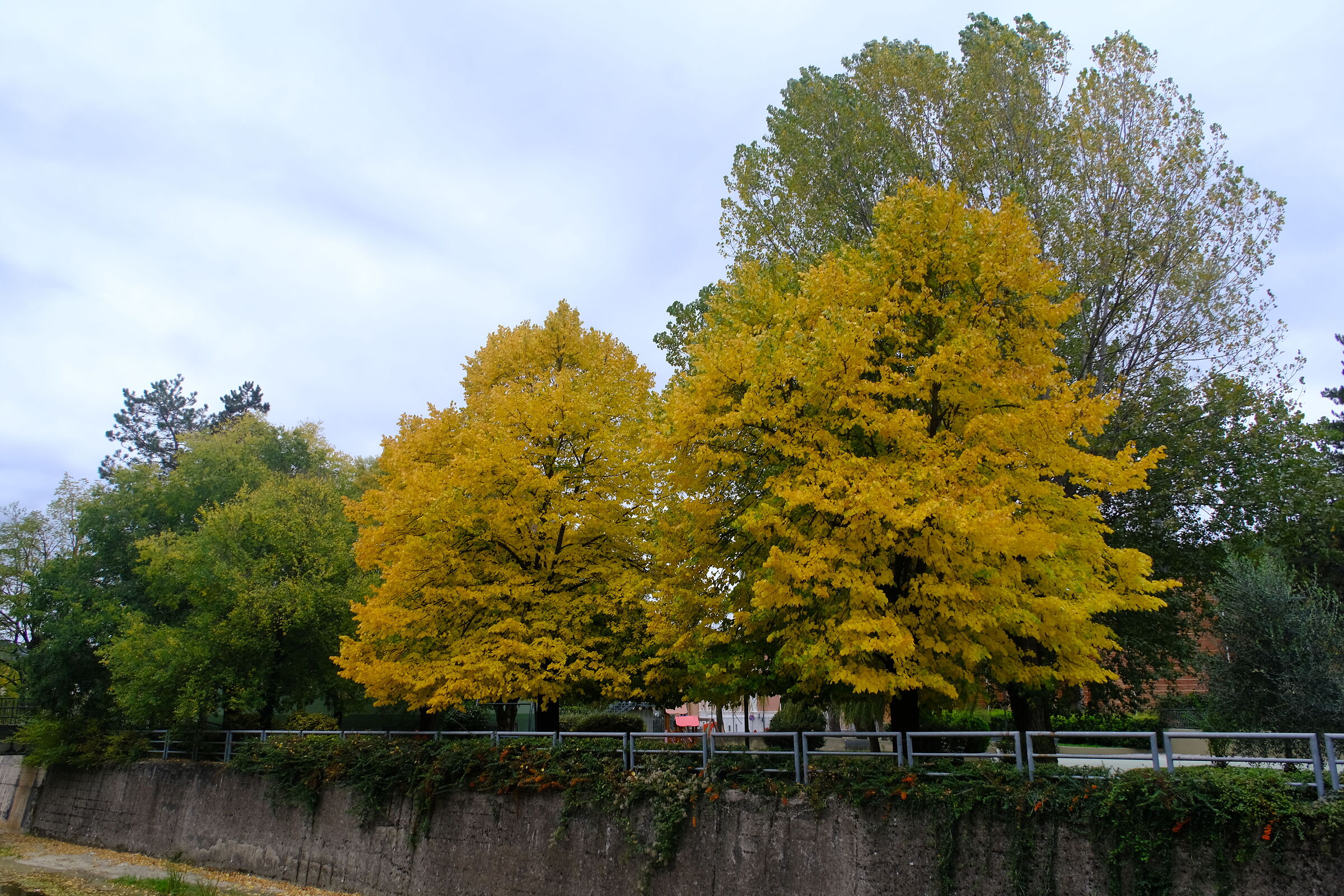 colori d autunno