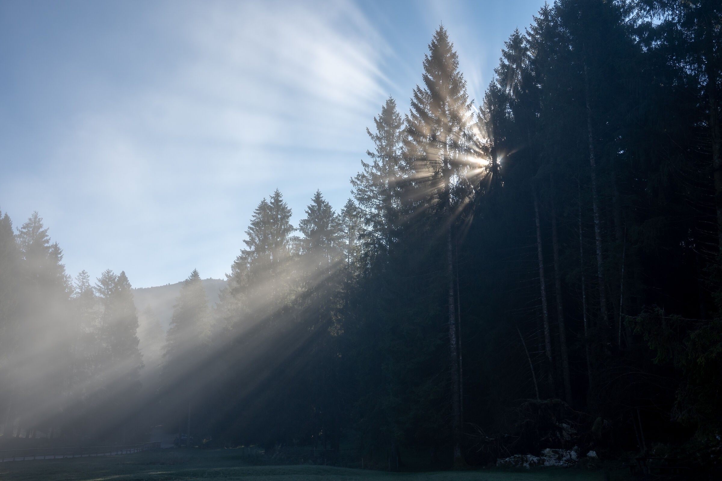Prime luci del mattino