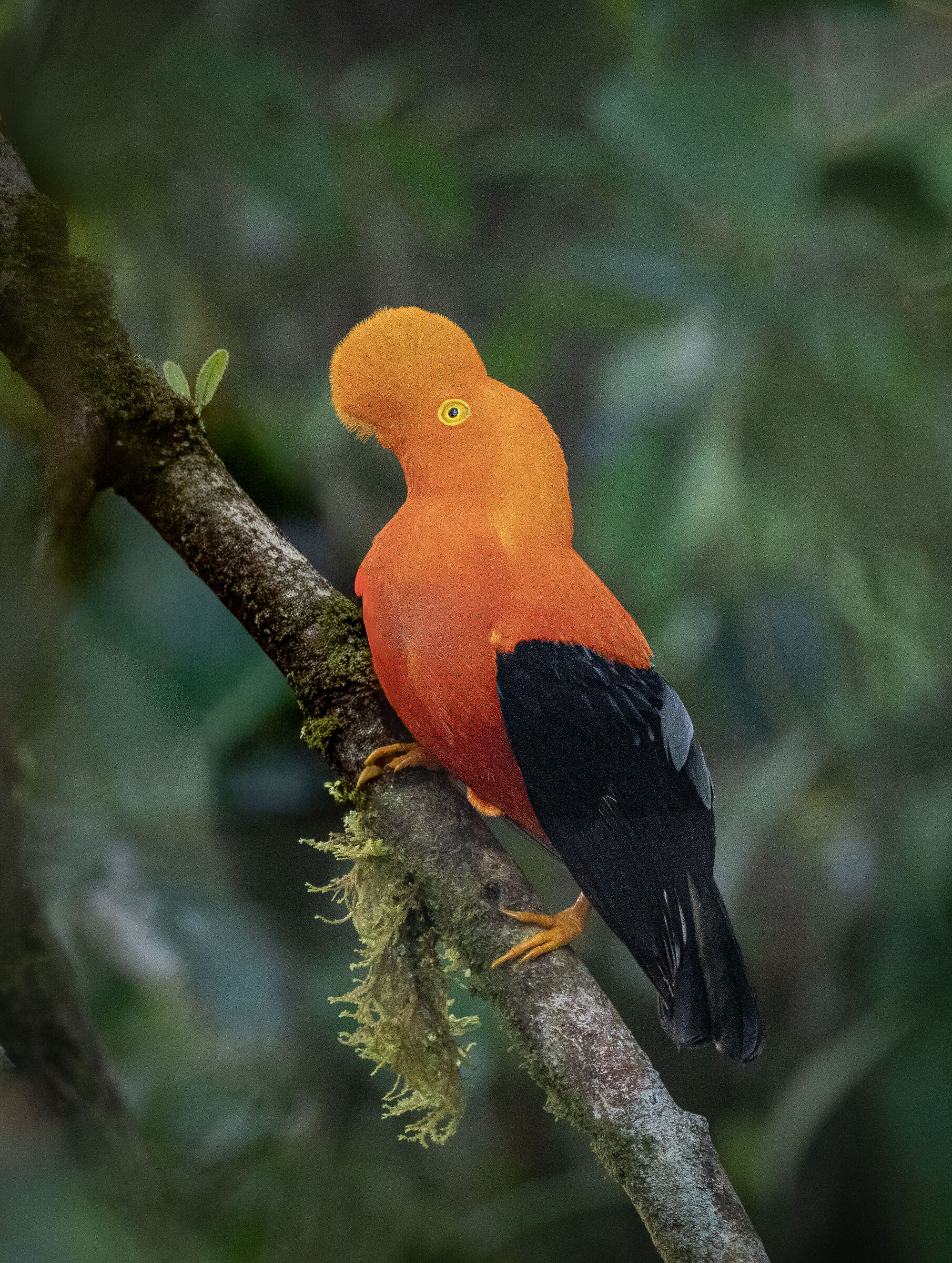 Ecuador 2