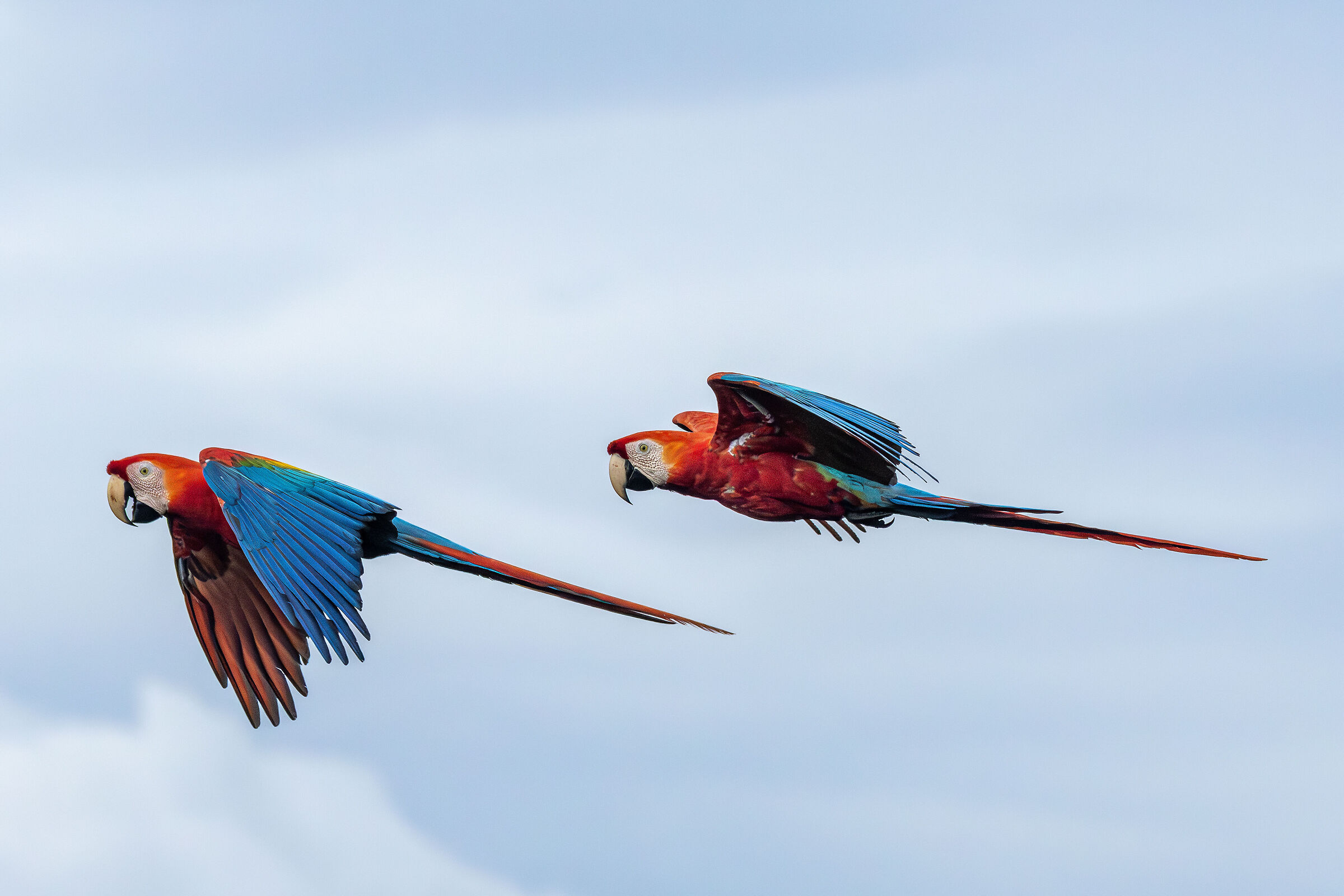Ecuador 3