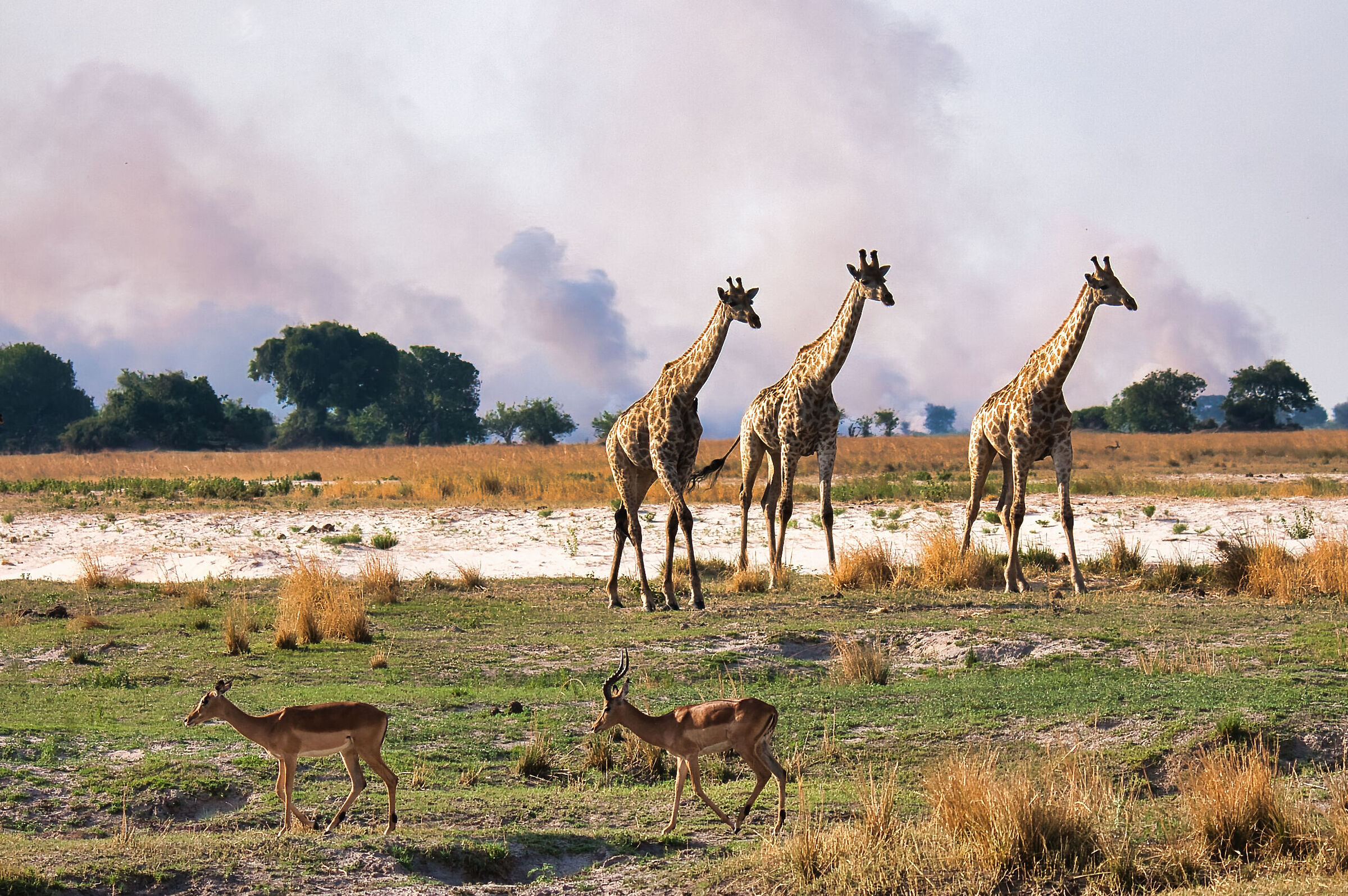 Fire smoke