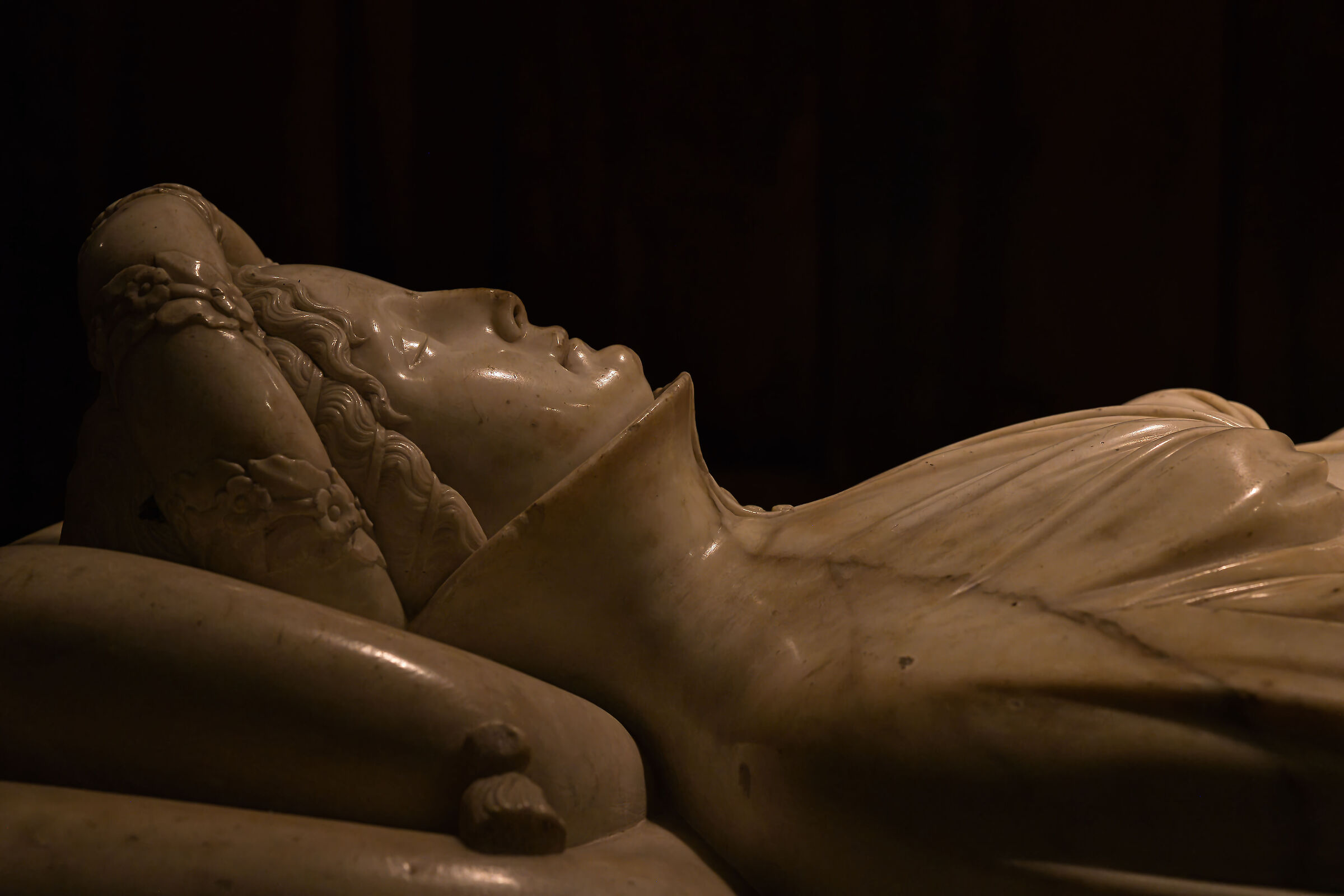 Ilaria del Carretto, Lucca (part.)