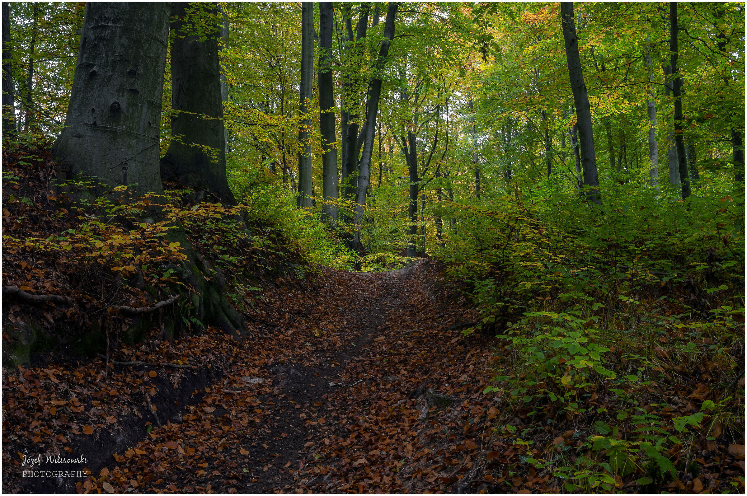 SMC Pentax F 24-50 /4