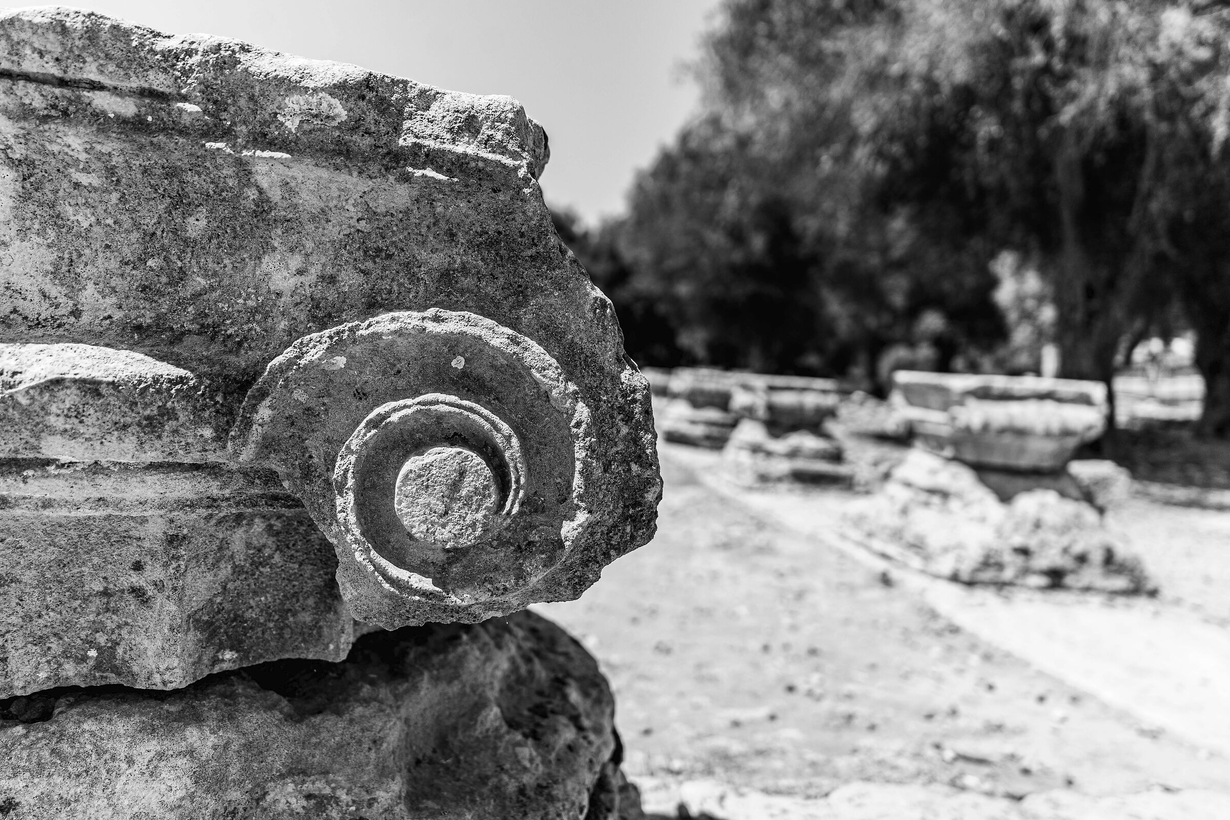Olympia2