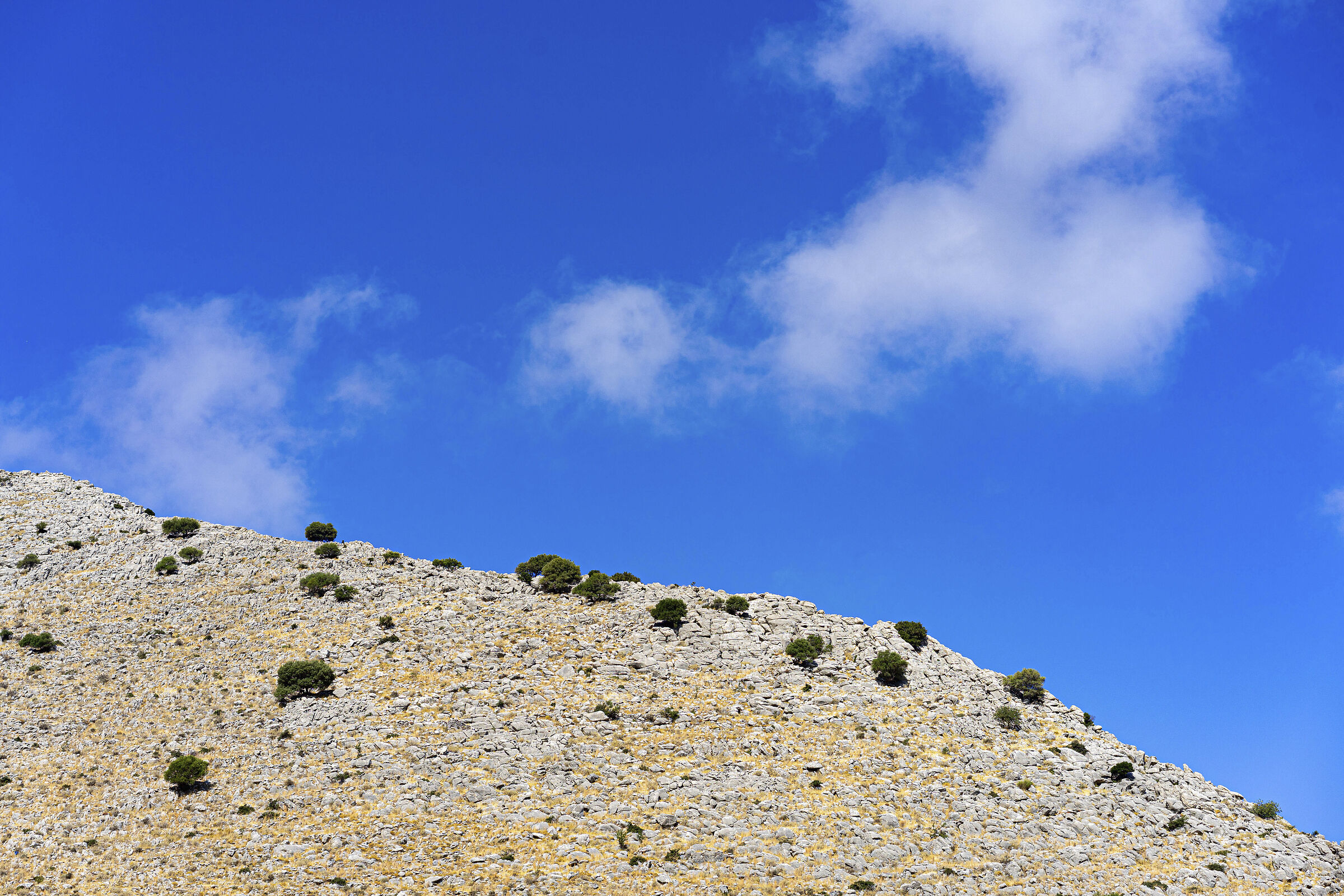Messinia on the road
