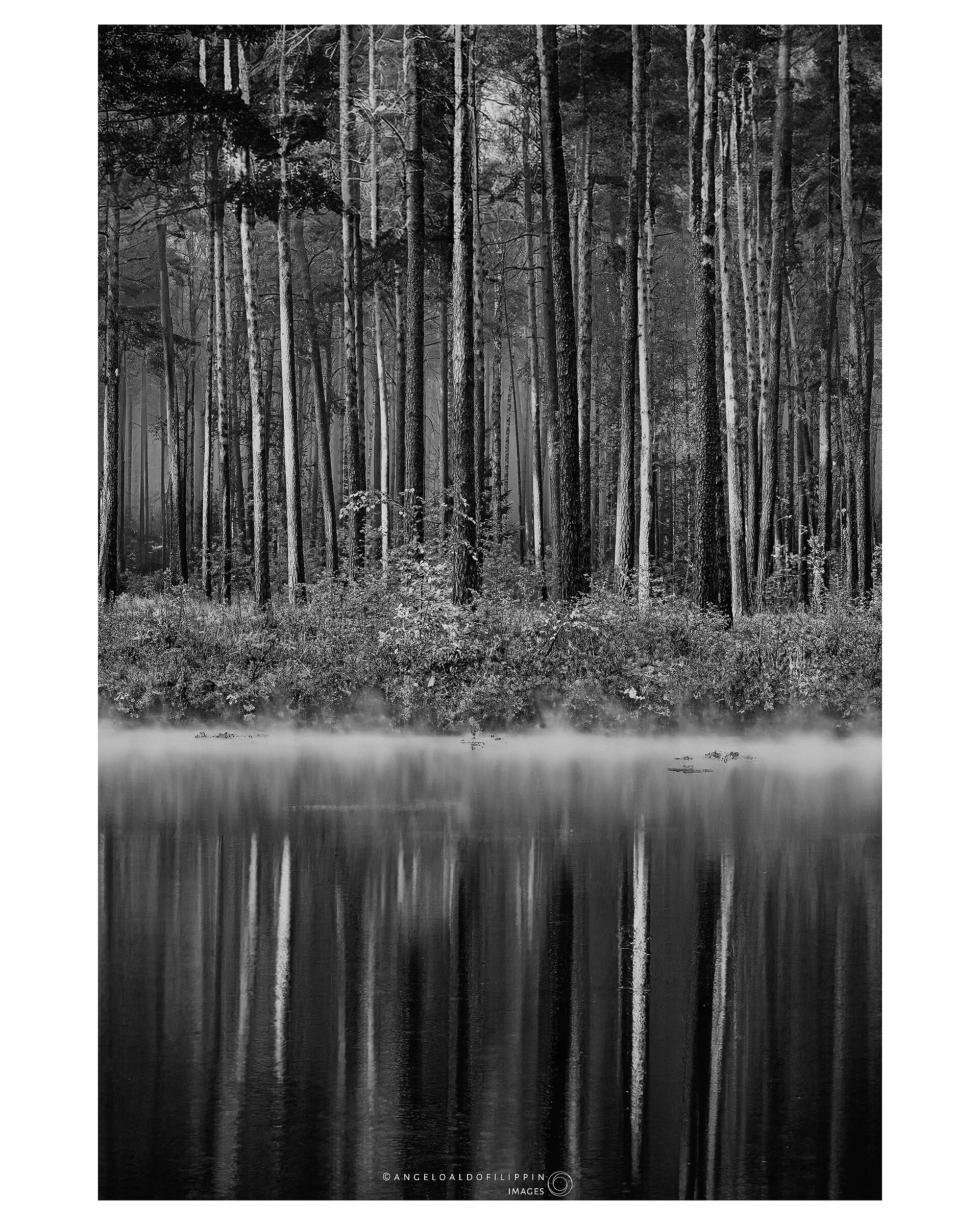 Veneto 2019, Brenta River