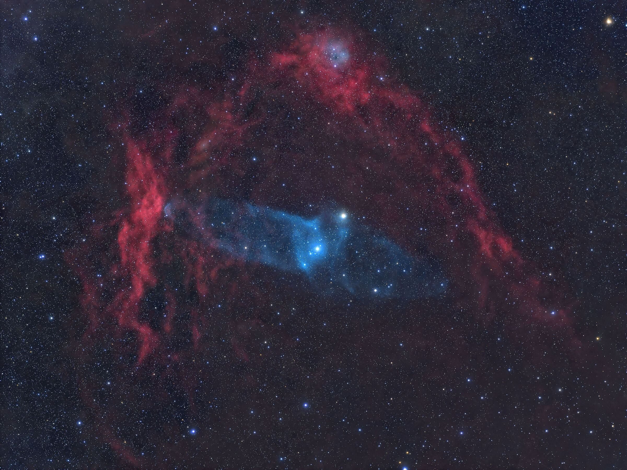 Flying Bat & Squid Nebulae