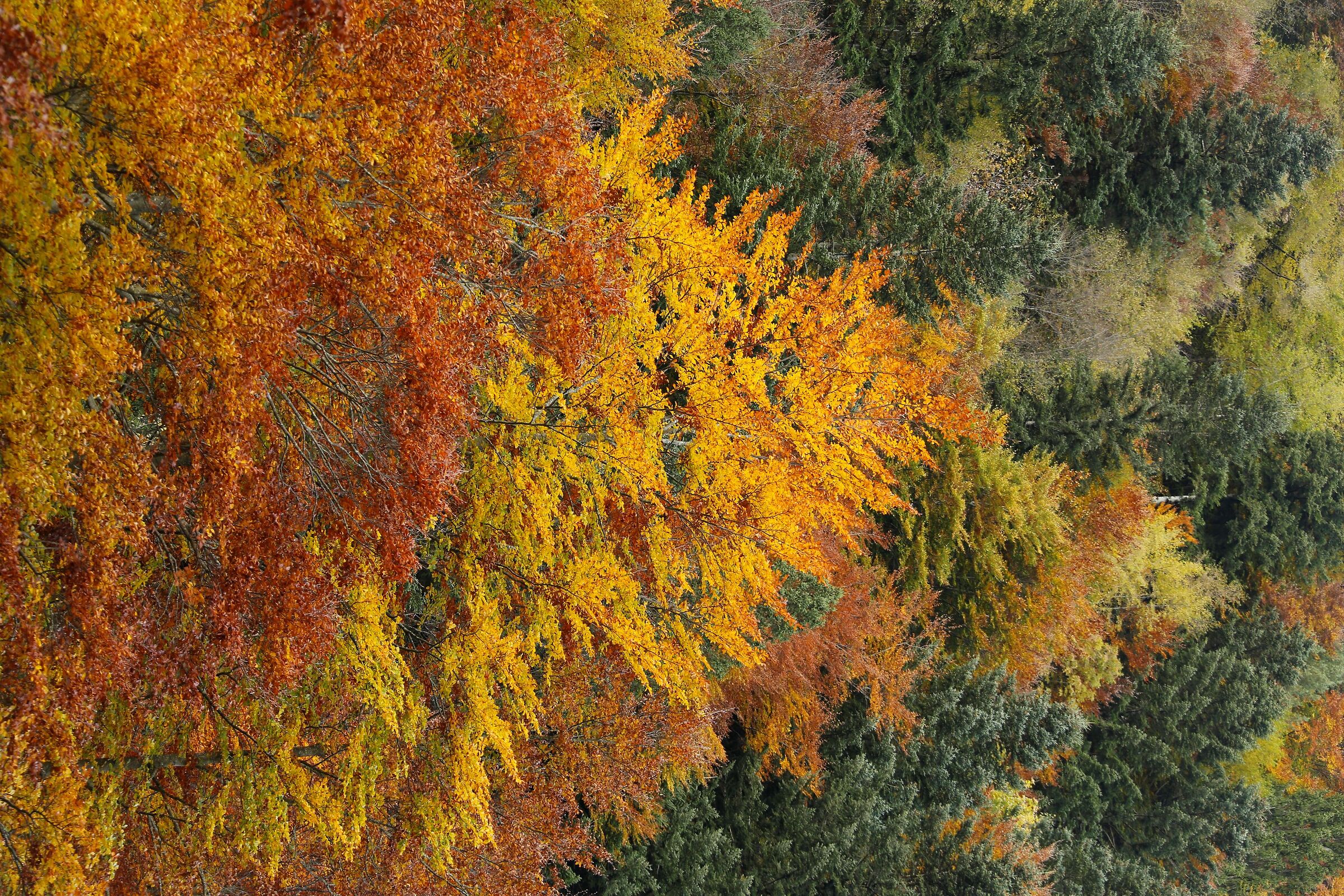 Autumn 2025, departure!