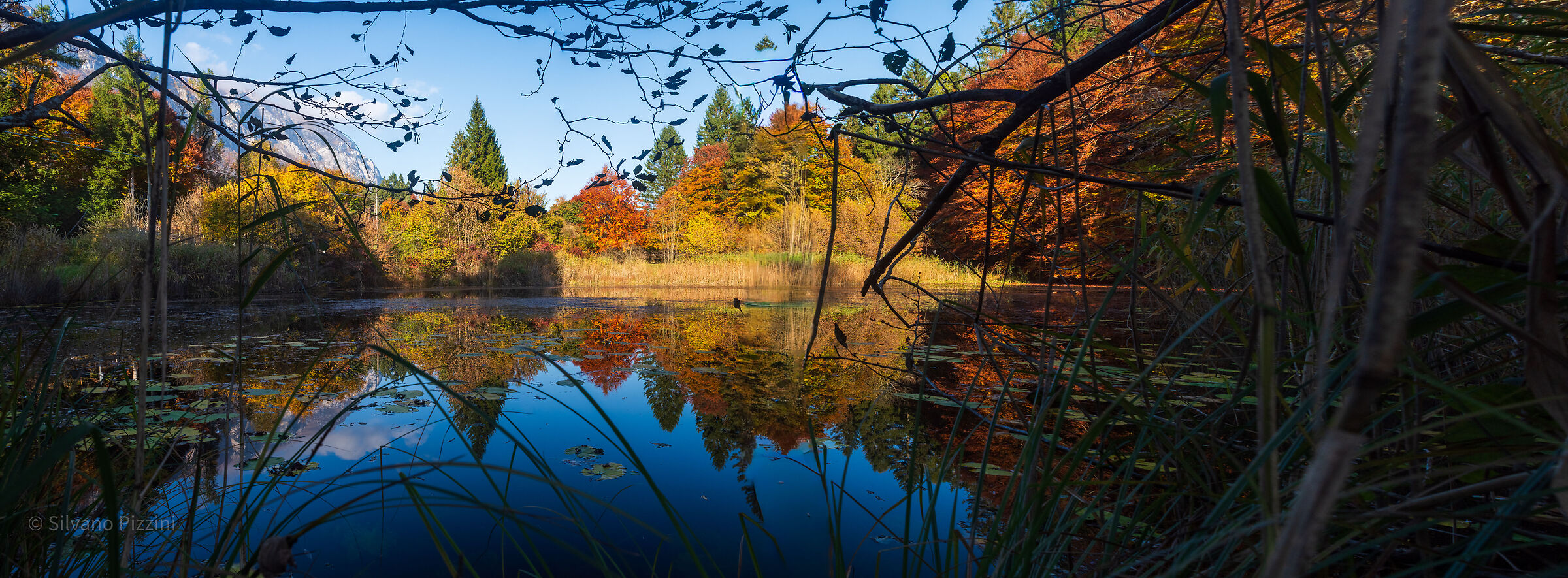 Autunno 2025 come sempre...