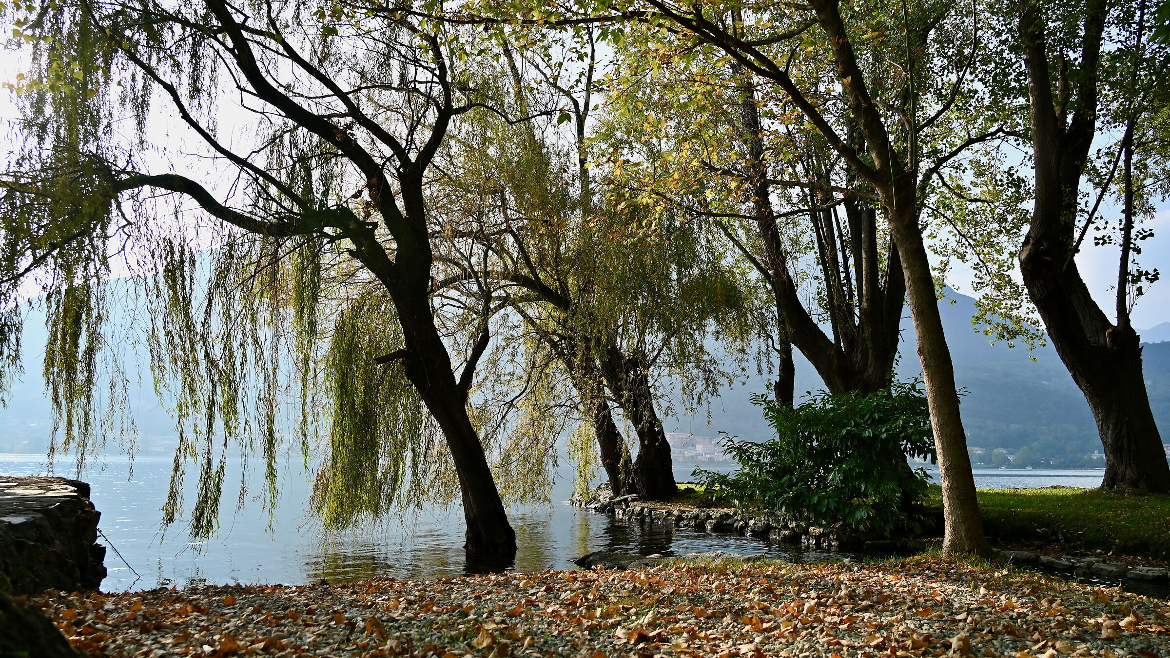 Autunno lungo il lago di Garlate 2