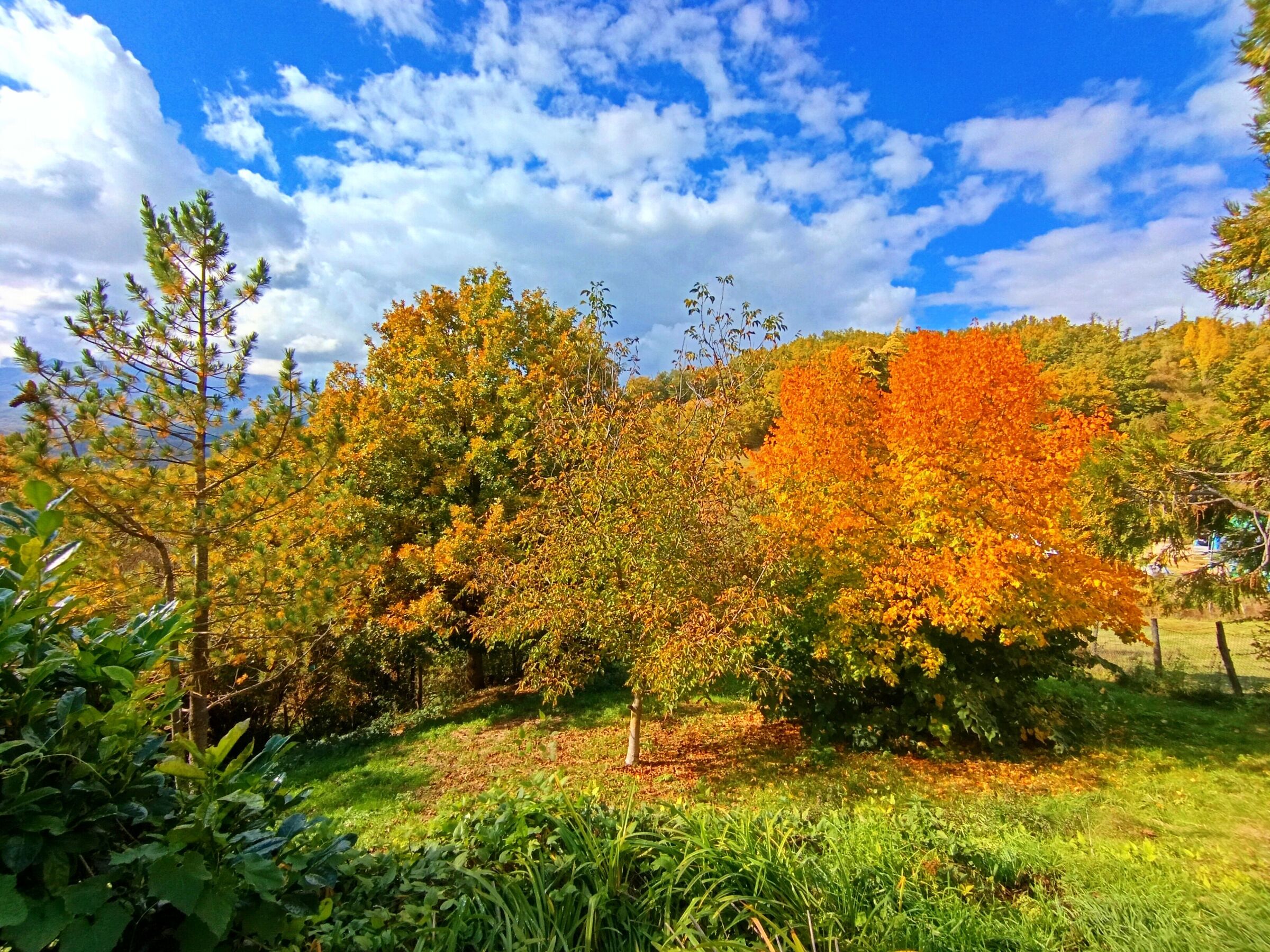 Autunno