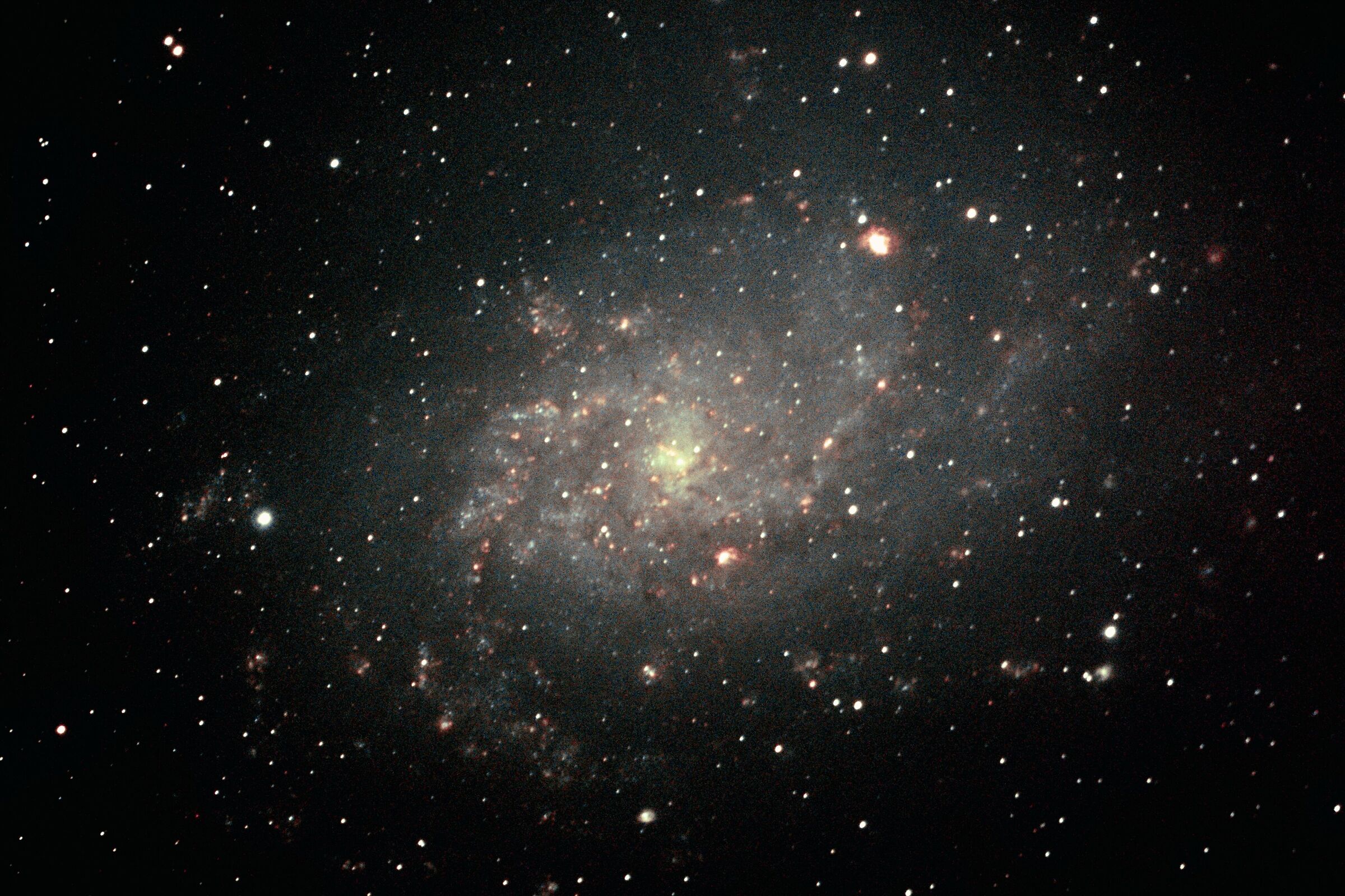 M33