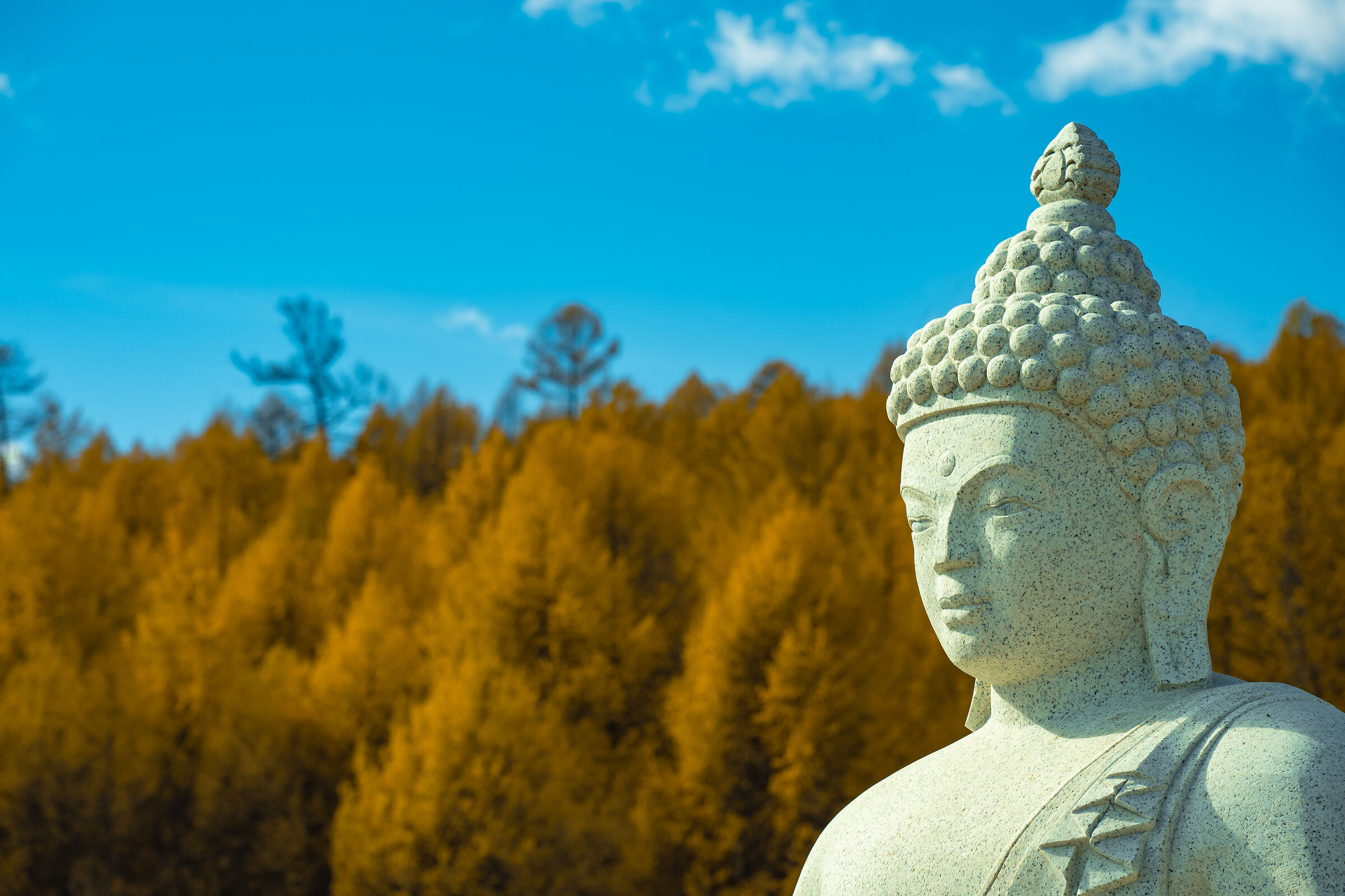 Buddha - Hovsgol lake