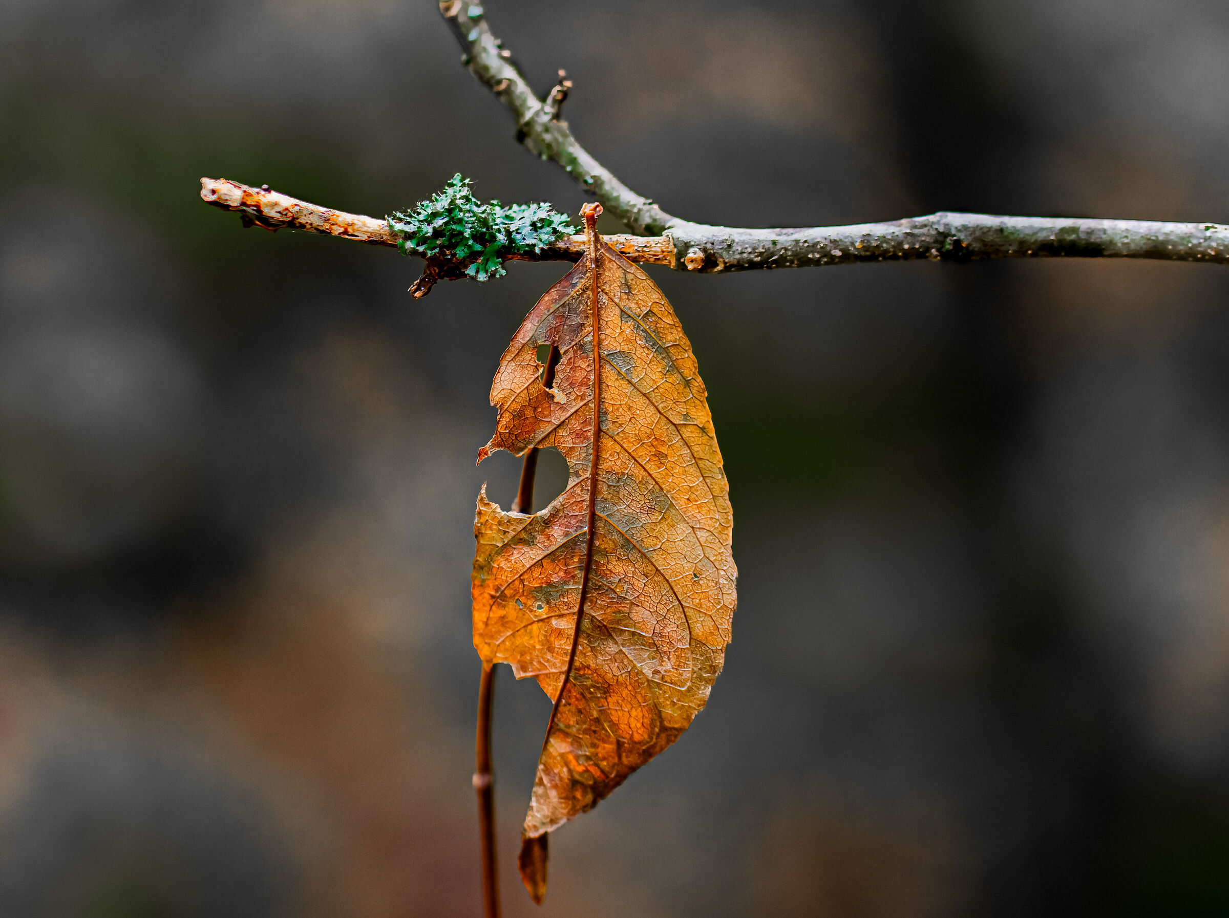 Untitled Photo