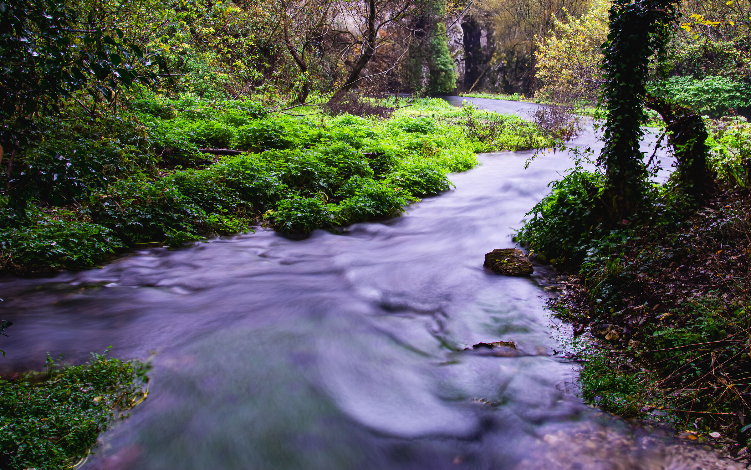 Sagittarius Gorges