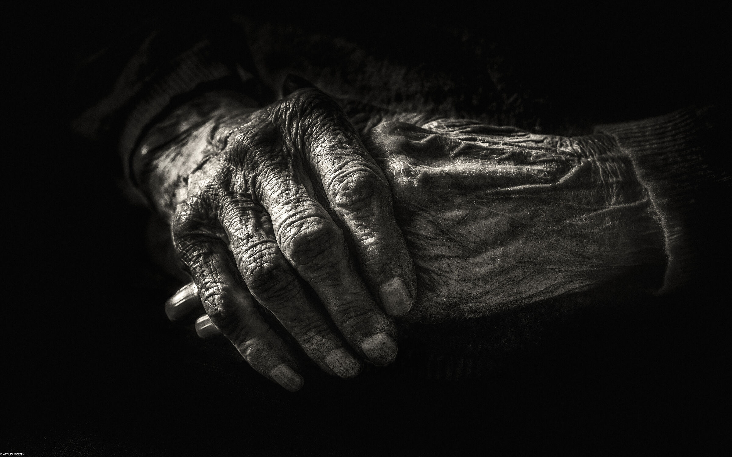 The portrait of time