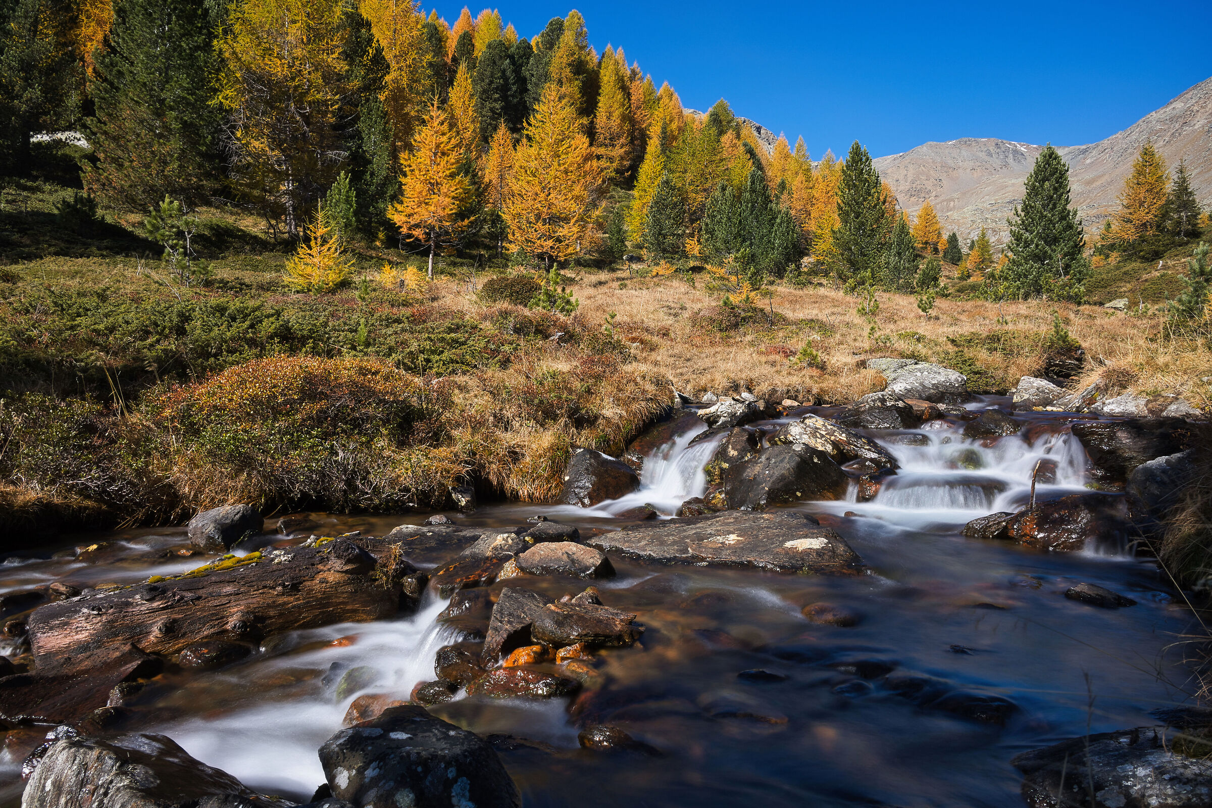 Autumn Stream