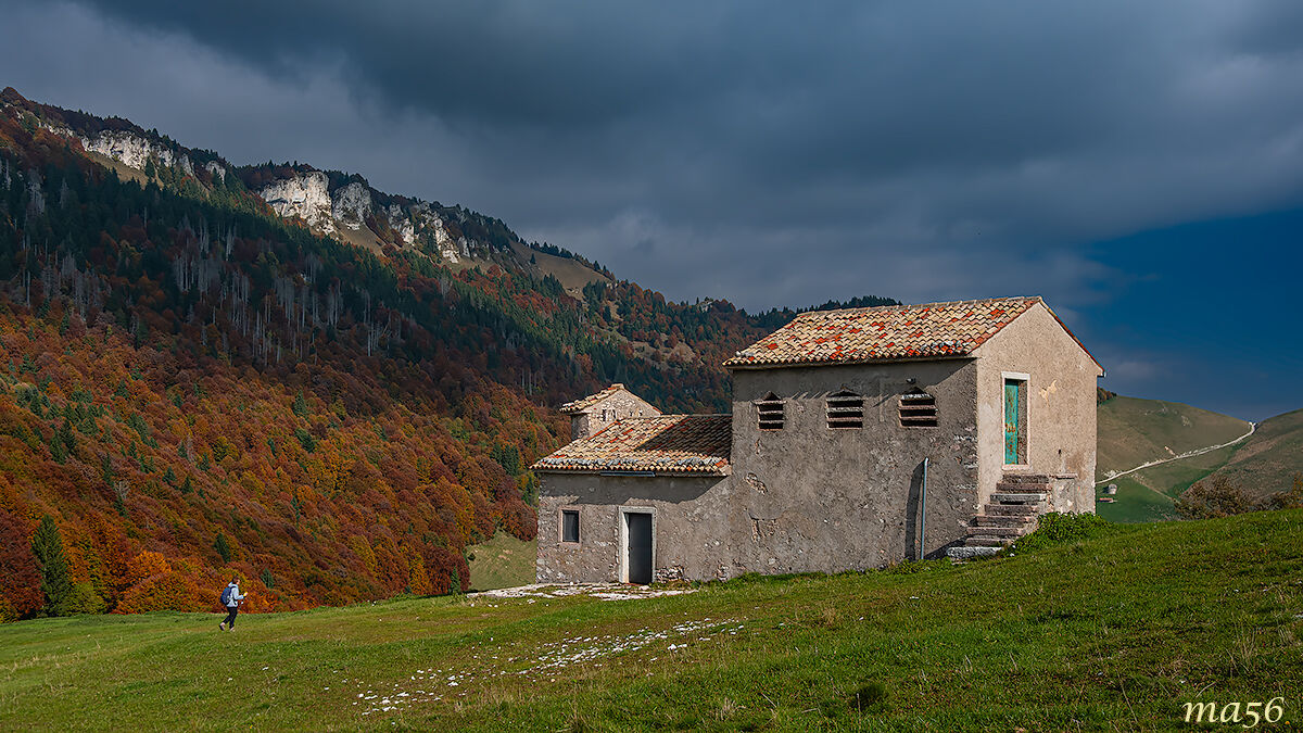 Ritorno in malga