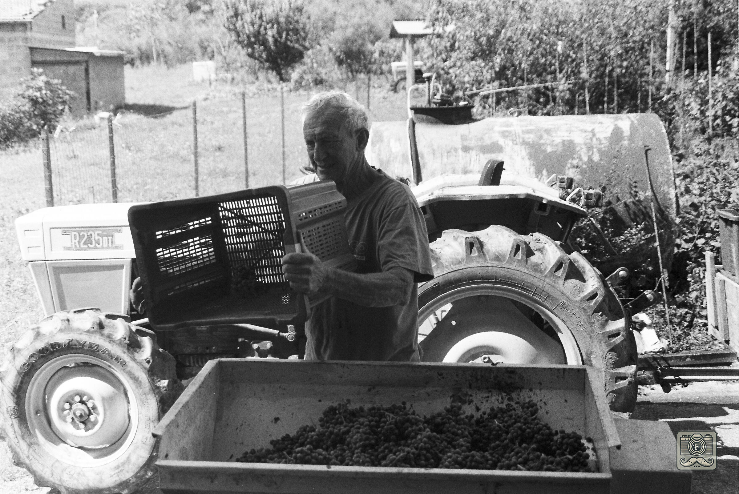 Mother o'Vino Raisins