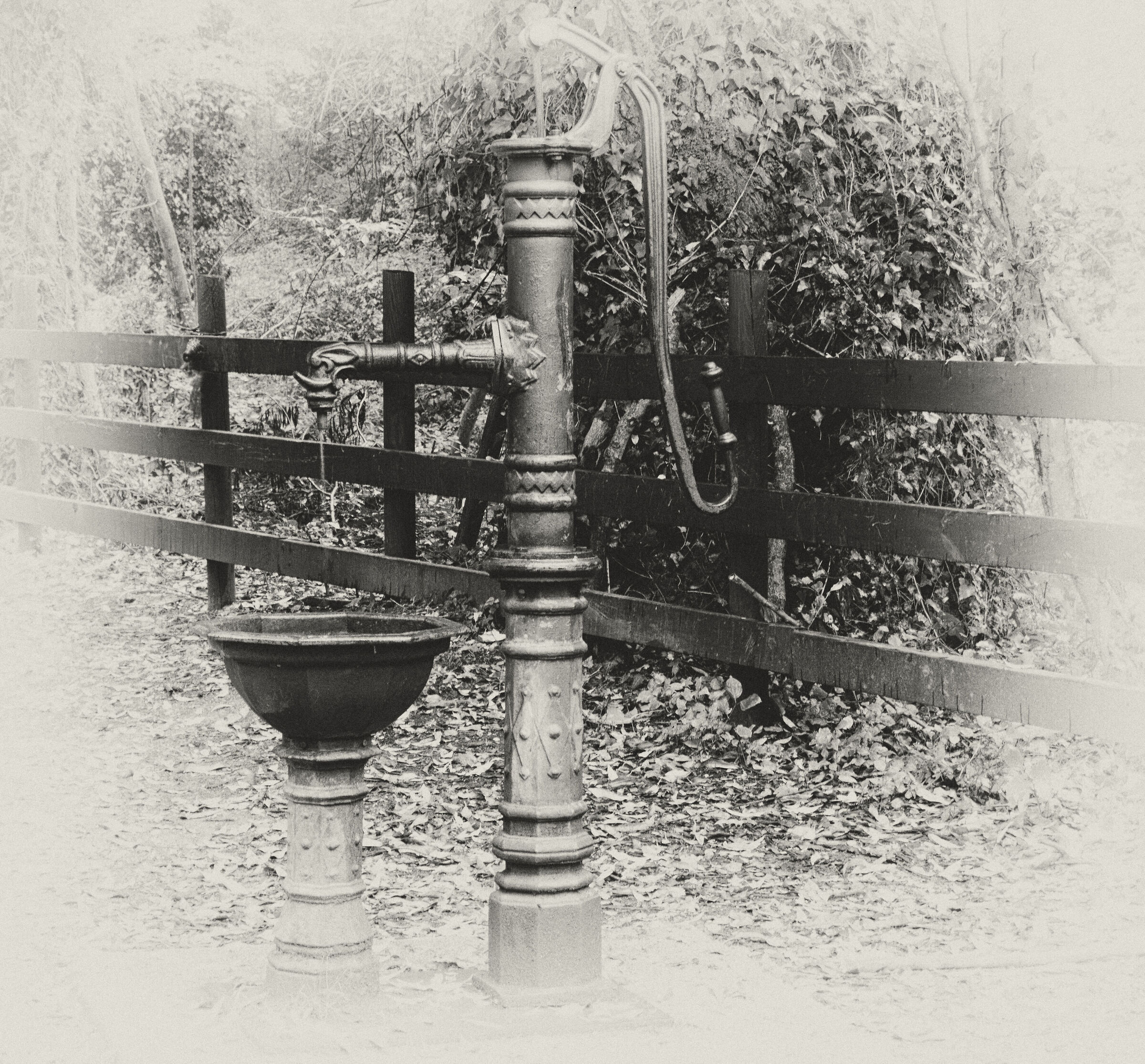 Untitled Photo
