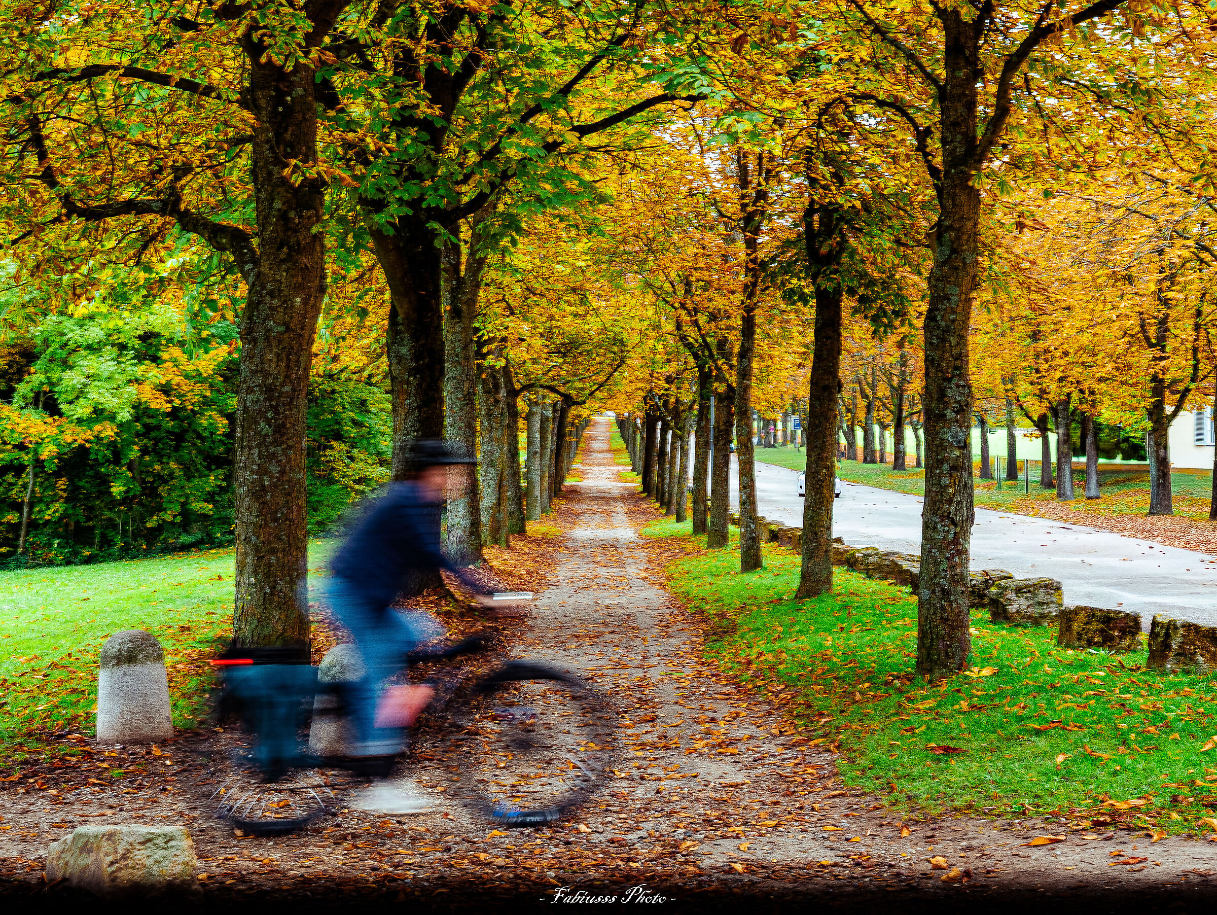 Autumn colors in Stuttgart