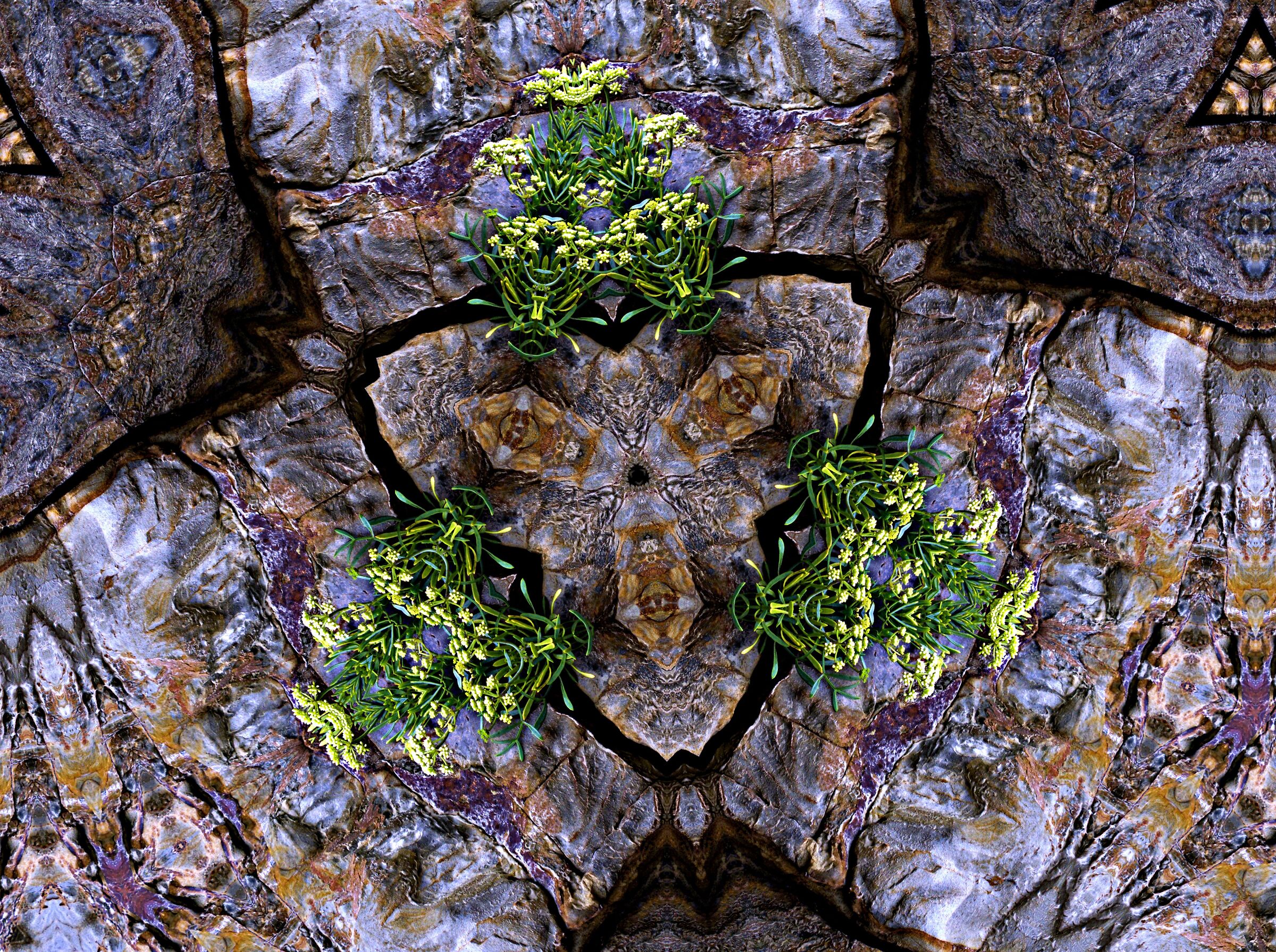 MINERALE ET VEGETAL BRETAGNE 2025