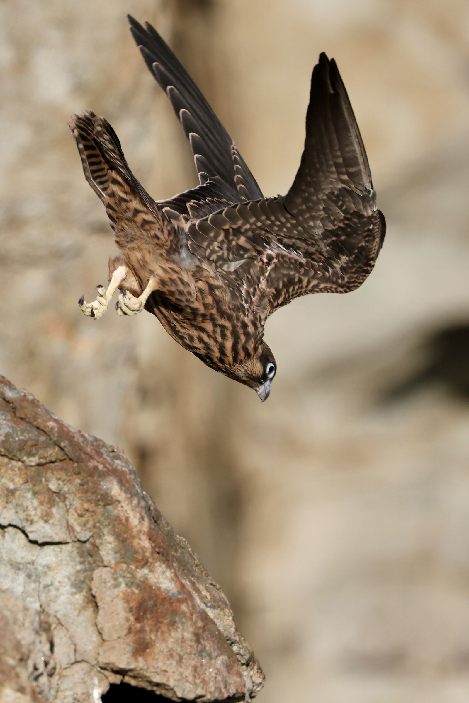 Un tuffo nel vuoto…