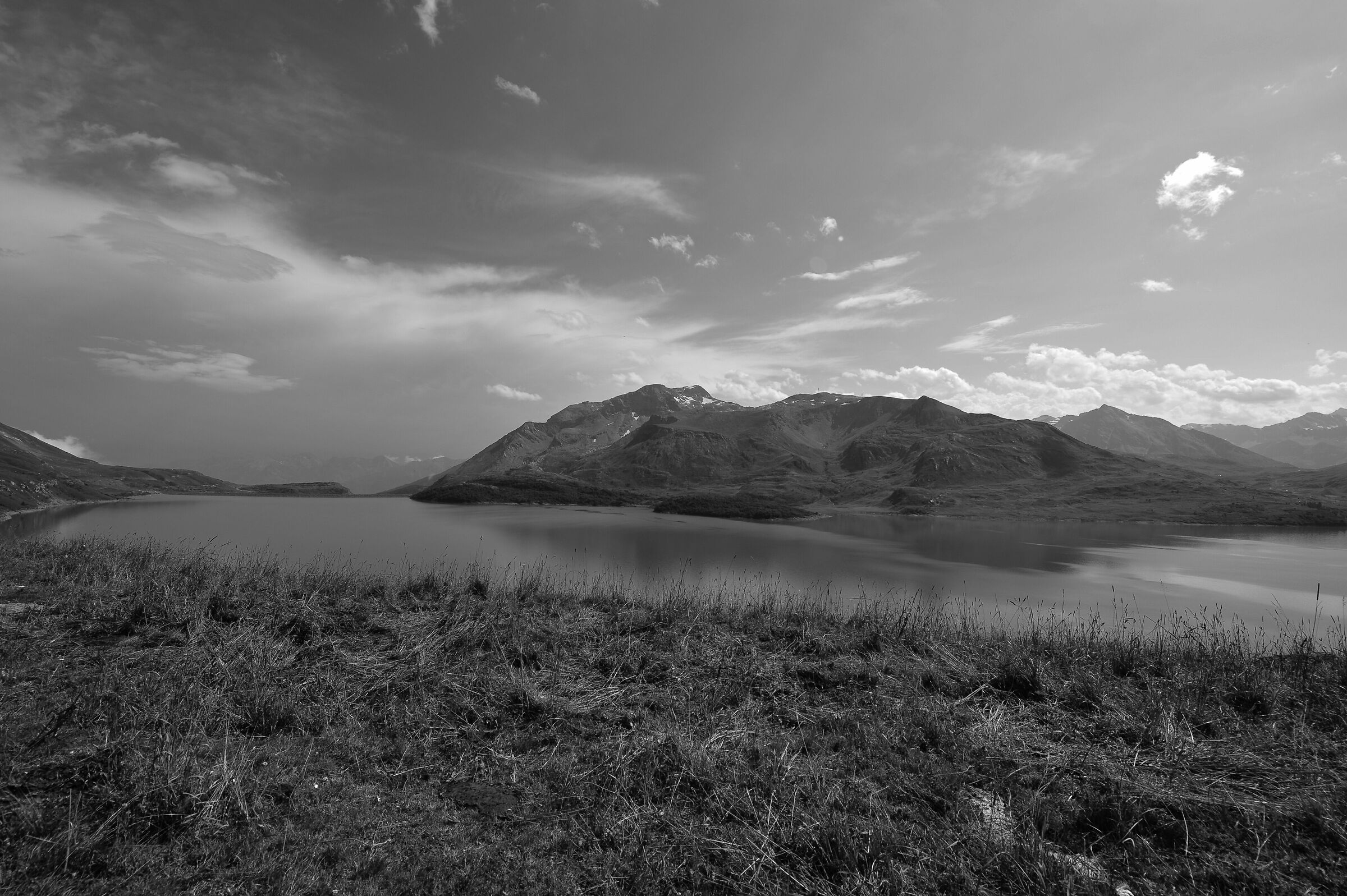 Untitled Photo